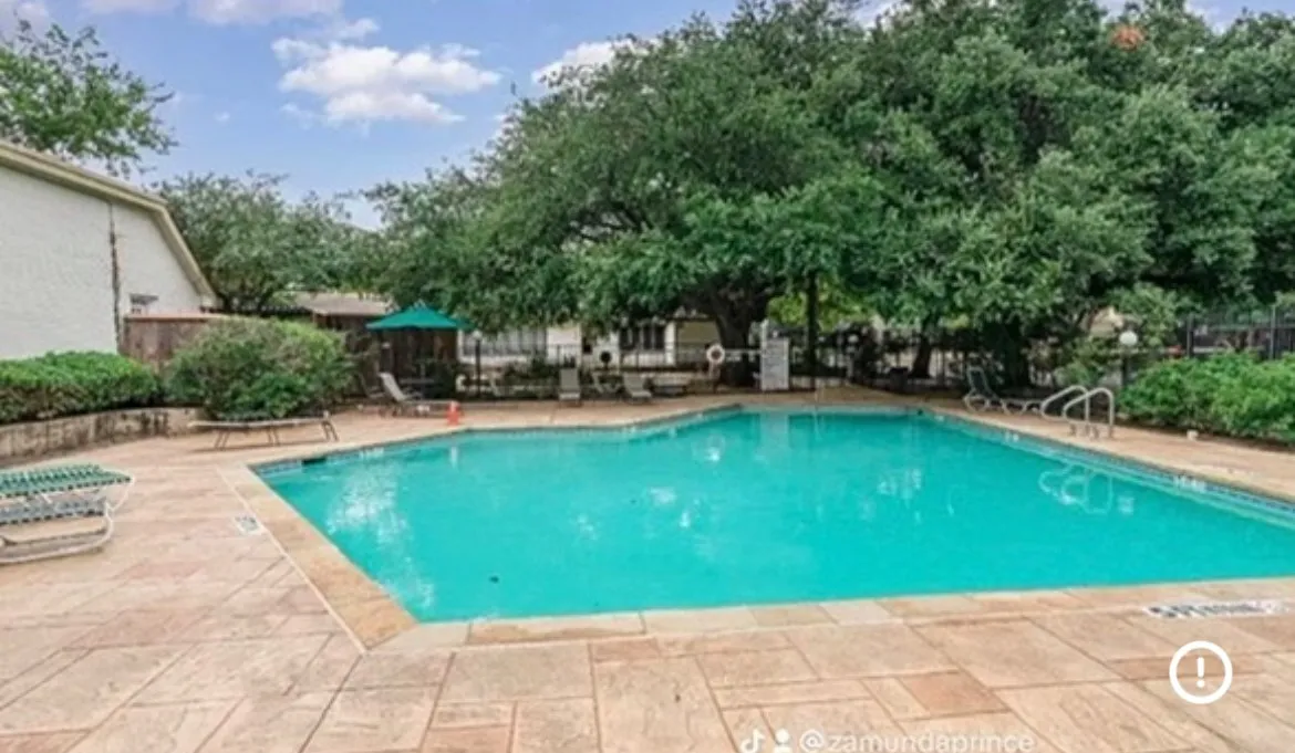 Swimming pool featuring a large paved deck, surrounding mature trees, and a shaded pergola area