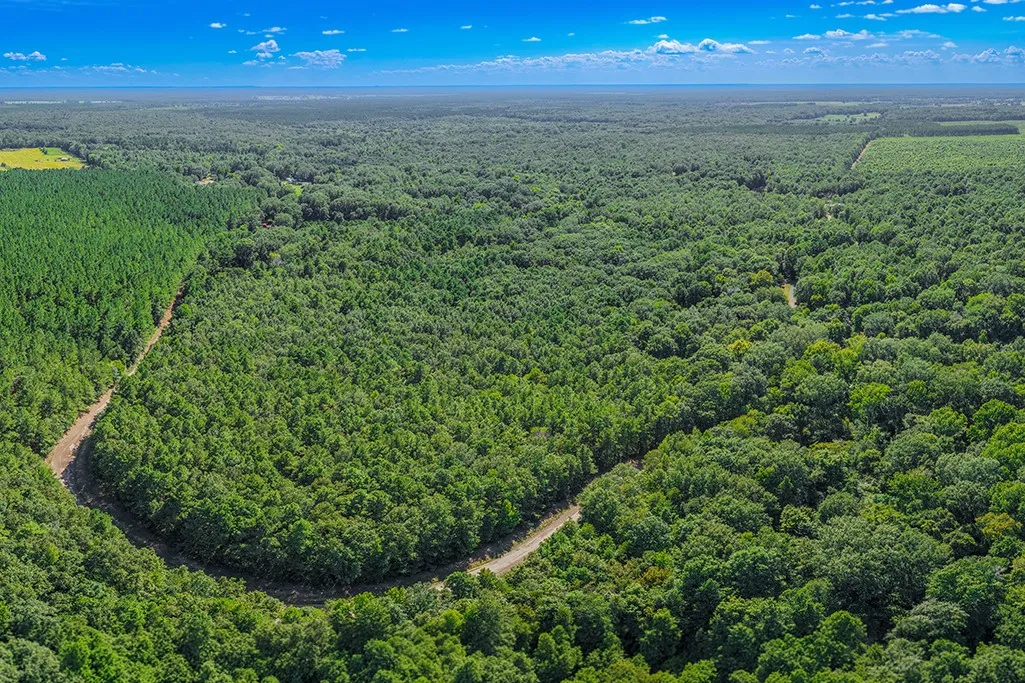 Unimproved Land For Sale in Bowie County , 2346 County Road 4284, Simms, Texas 75574, 0, 0, Garage spaces, 0 Sqft, built in 0, mls#21350192, Real Estate Agent in Simms, Homes For Sale in Bowie county, Homes For Sale in Simms, Realtor in Simms Texas, Real Estate Brokerage Independent Realty Texas, Luminita Cordes Realtor