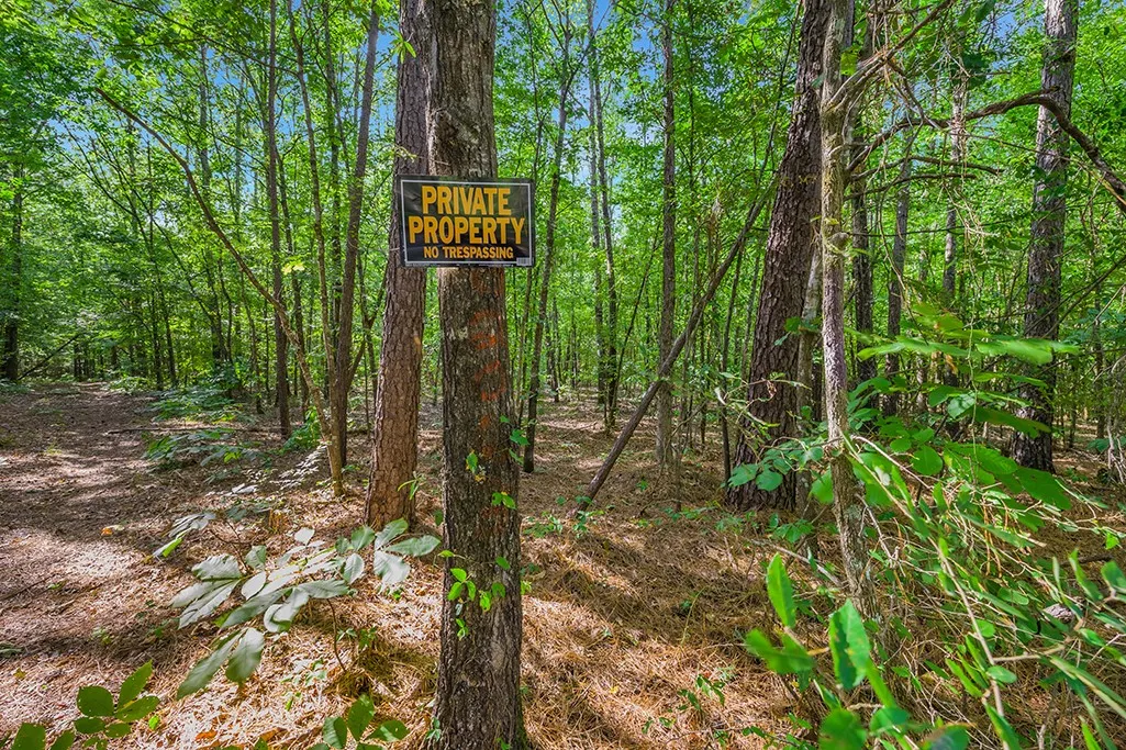 Trail view