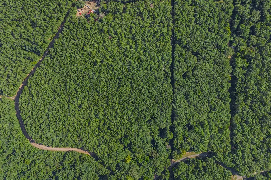 Unimproved Land For Sale in Bowie County , 2346 County Road 4284, Simms, Texas 75574, 0, 0, Garage spaces, 0 Sqft, built in 0, mls#21350192, Real Estate Agent in Simms, Homes For Sale in Bowie county, Homes For Sale in Simms, Realtor in Simms Texas, Real Estate Brokerage Independent Realty Texas, Luminita Cordes Realtor