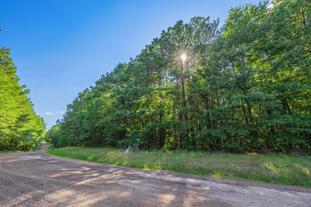 Road view