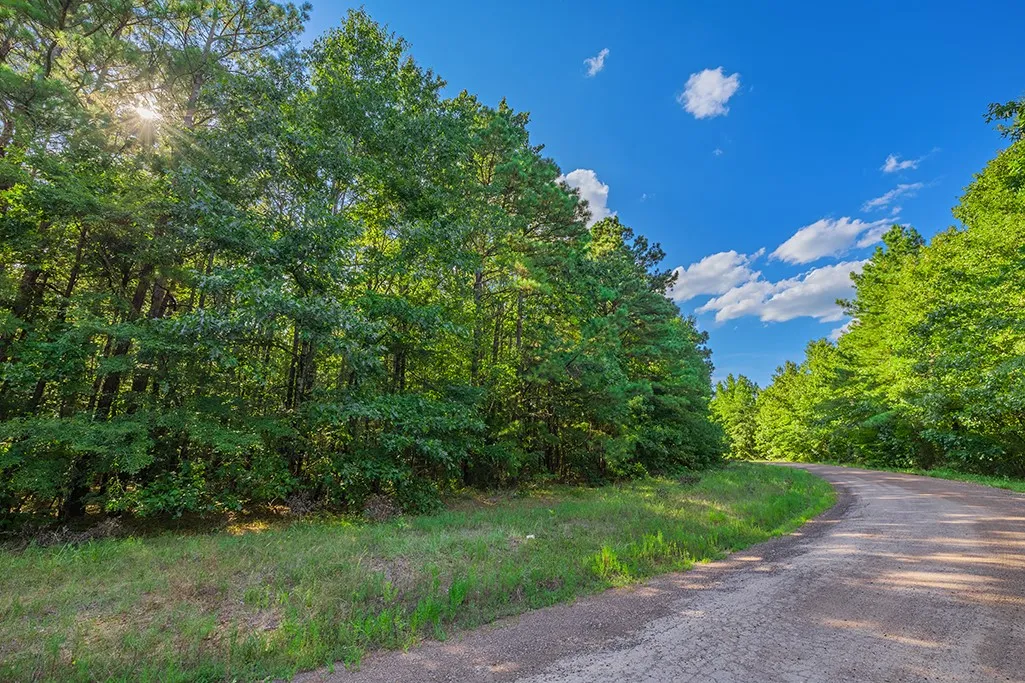 Road view