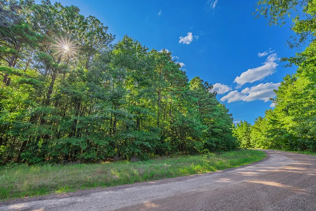Road view