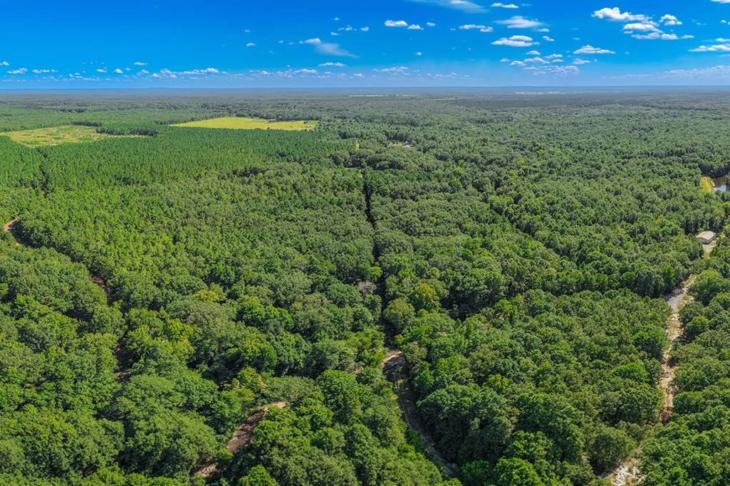 Unimproved Land For Sale in Bowie County , 2346 County Road 4284, Simms, Texas 75574, 0, 0, Garage spaces, 0 Sqft, built in 0, mls#21350192, Real Estate Agent in Simms, Homes For Sale in Bowie county, Homes For Sale in Simms, Realtor in Simms Texas, Real Estate Brokerage Independent Realty Texas, Luminita Cordes Realtor