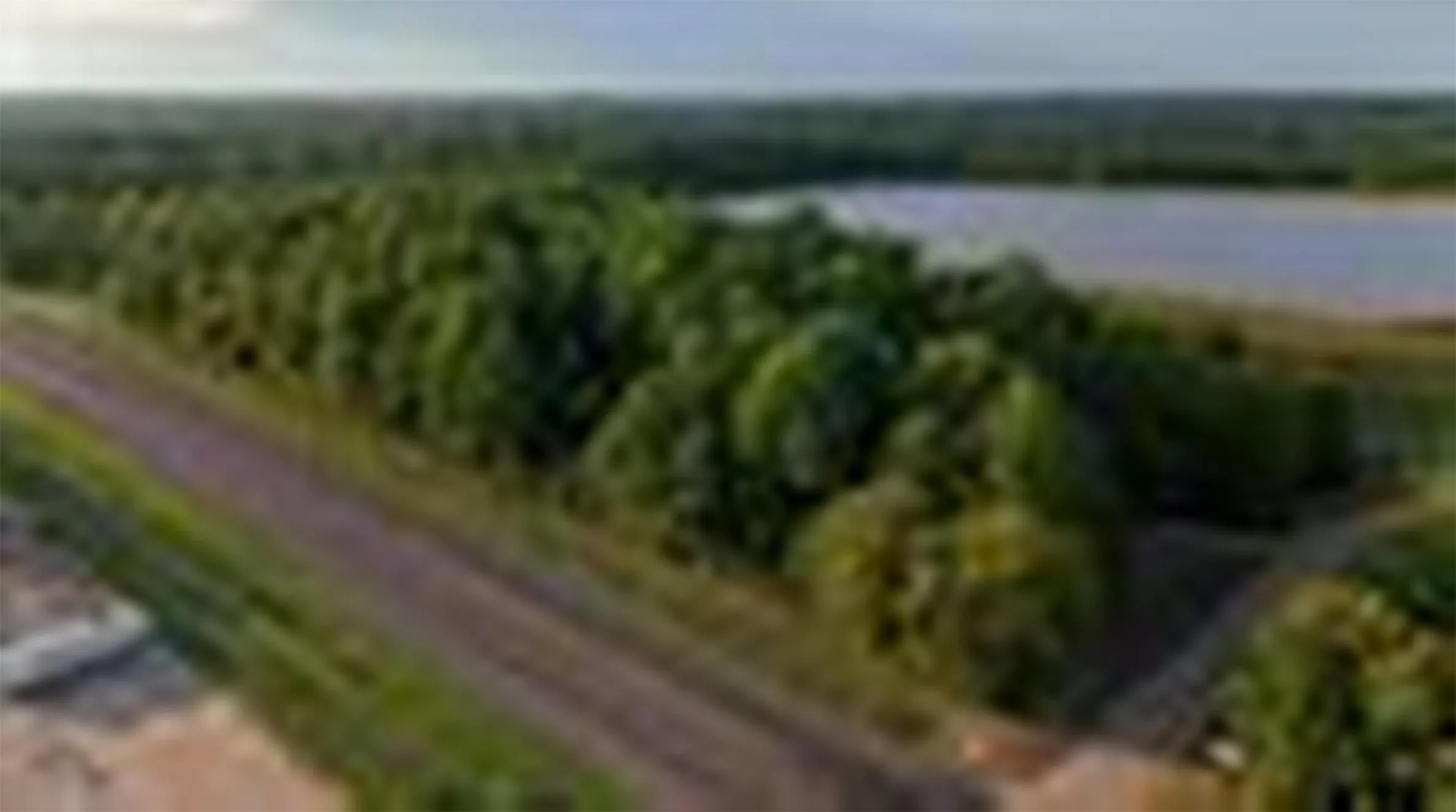 Unimproved Land For Sale in Gregg County , 3303 Fm 349, Kilgore, Texas 75662, 0, 0, Garage spaces, 0 Sqft, built in 0, Price $345,000, mls#21350227, Real Estate Agent in Kilgore, Homes For Sale in Gregg county, Homes For Sale in Kilgore, Realtor in Kilgore Texas, Real Estate Brokerage Independent Realty Texas, Luminita Cordes Realtor