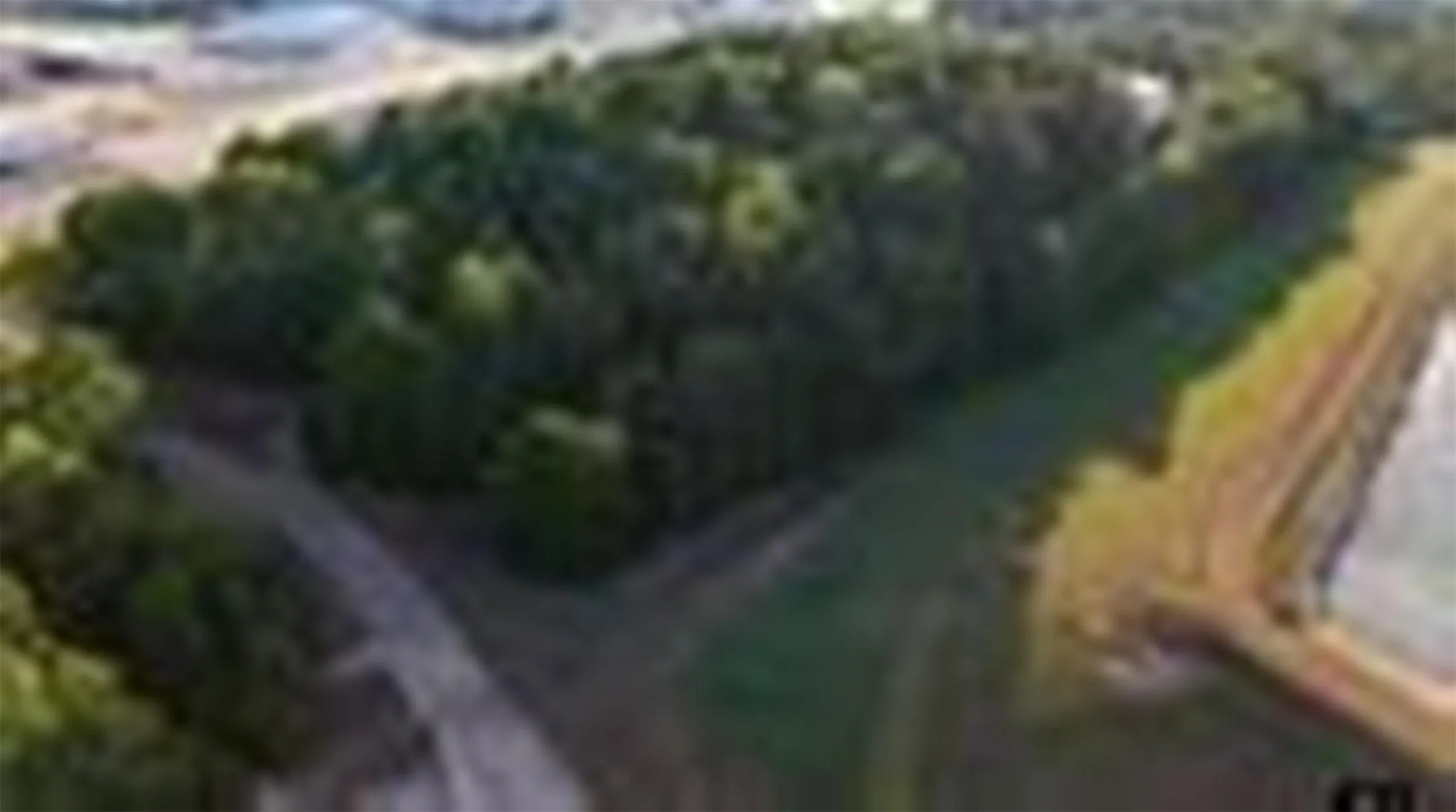 Unimproved Land For Sale in Gregg County , 3303 Fm 349, Kilgore, Texas 75662, 0, 0, Garage spaces, 0 Sqft, built in 0, Price $345,000, mls#21350227, Real Estate Agent in Kilgore, Homes For Sale in Gregg county, Homes For Sale in Kilgore, Realtor in Kilgore Texas, Real Estate Brokerage Independent Realty Texas, Luminita Cordes Realtor