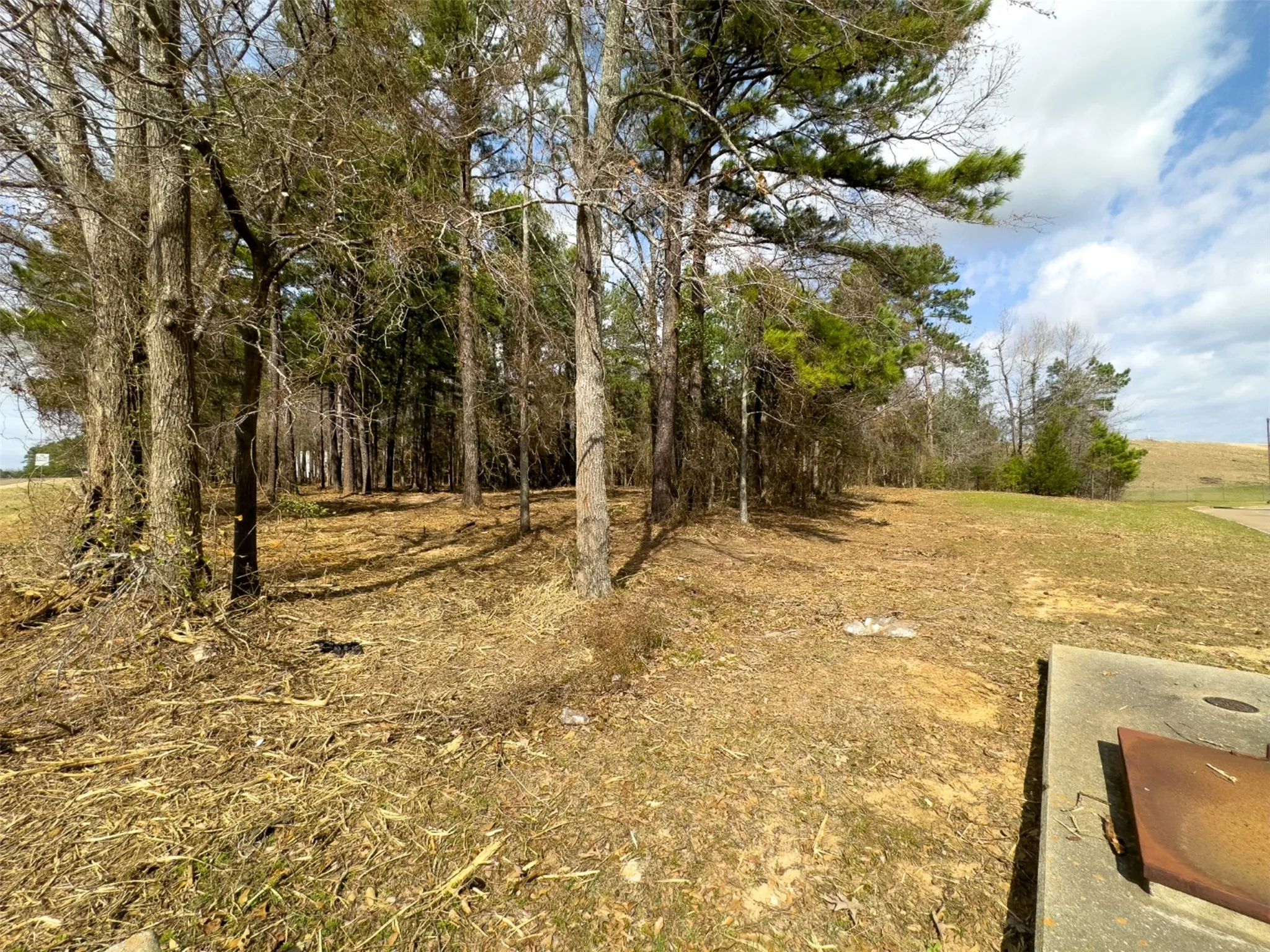 Unimproved Land For Sale in Gregg County , 3303 Fm 349, Kilgore, Texas 75662, 0, 0, Garage spaces, 0 Sqft, built in 0, Price $345,000, mls#21350227, Real Estate Agent in Kilgore, Homes For Sale in Gregg county, Homes For Sale in Kilgore, Realtor in Kilgore Texas, Real Estate Brokerage Independent Realty Texas, Luminita Cordes Realtor