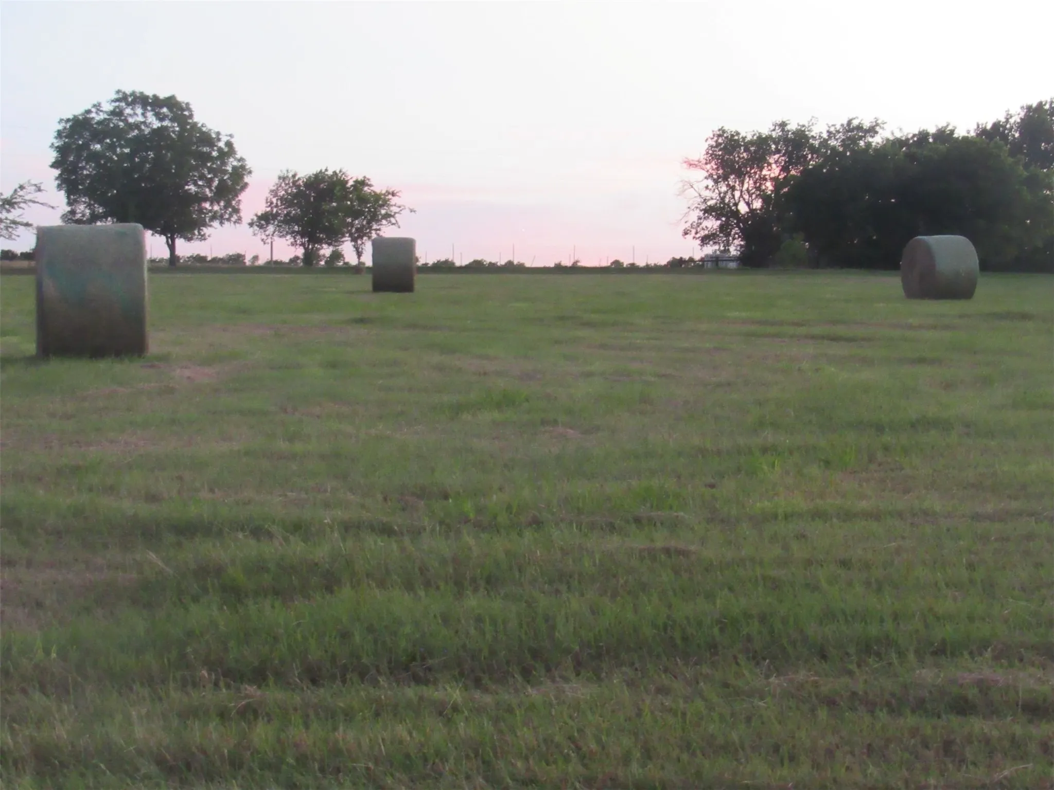 Expansive green field featuring multiple round hay bales and mature trees
