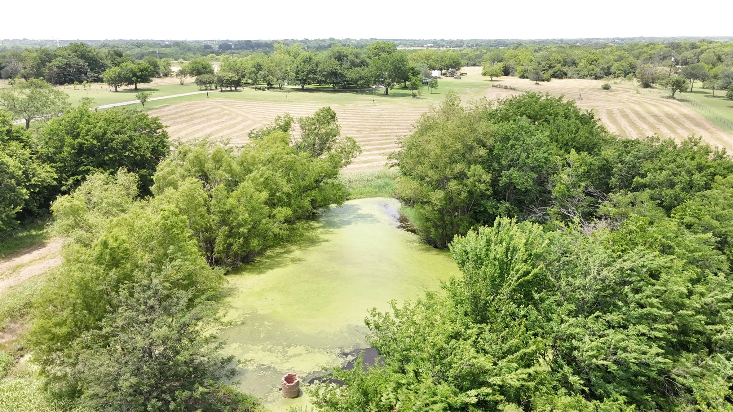Single Family Residence For Sale in Ellis County , 2114 FM 1181, Ennis, Texas 75119, 3 Bedroom, 2 Bathroom, Garage spaces, 2,775 Sqft, built in 1977, mls#21346338, Real Estate Agent in Ennis, Homes For Sale in Ellis county, Homes For Sale in Ennis, Realtor in Ennis Texas, Real Estate Brokerage Independent Realty Texas, Luminita Cordes Realtor