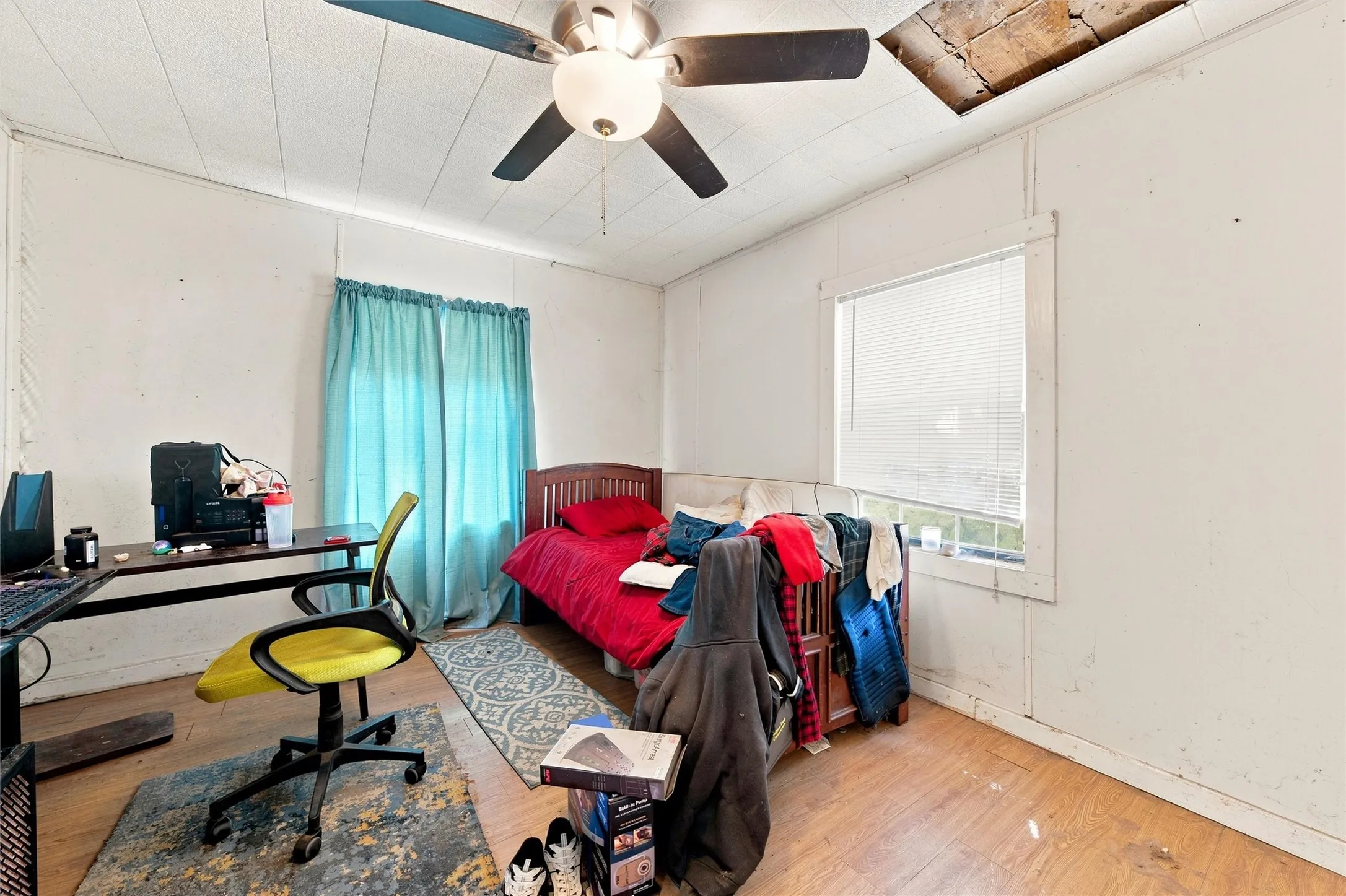 Versatile bedroom featuring wood-finish flooring, ceiling fan with integrated lighting, and abundant natural light from dual windows