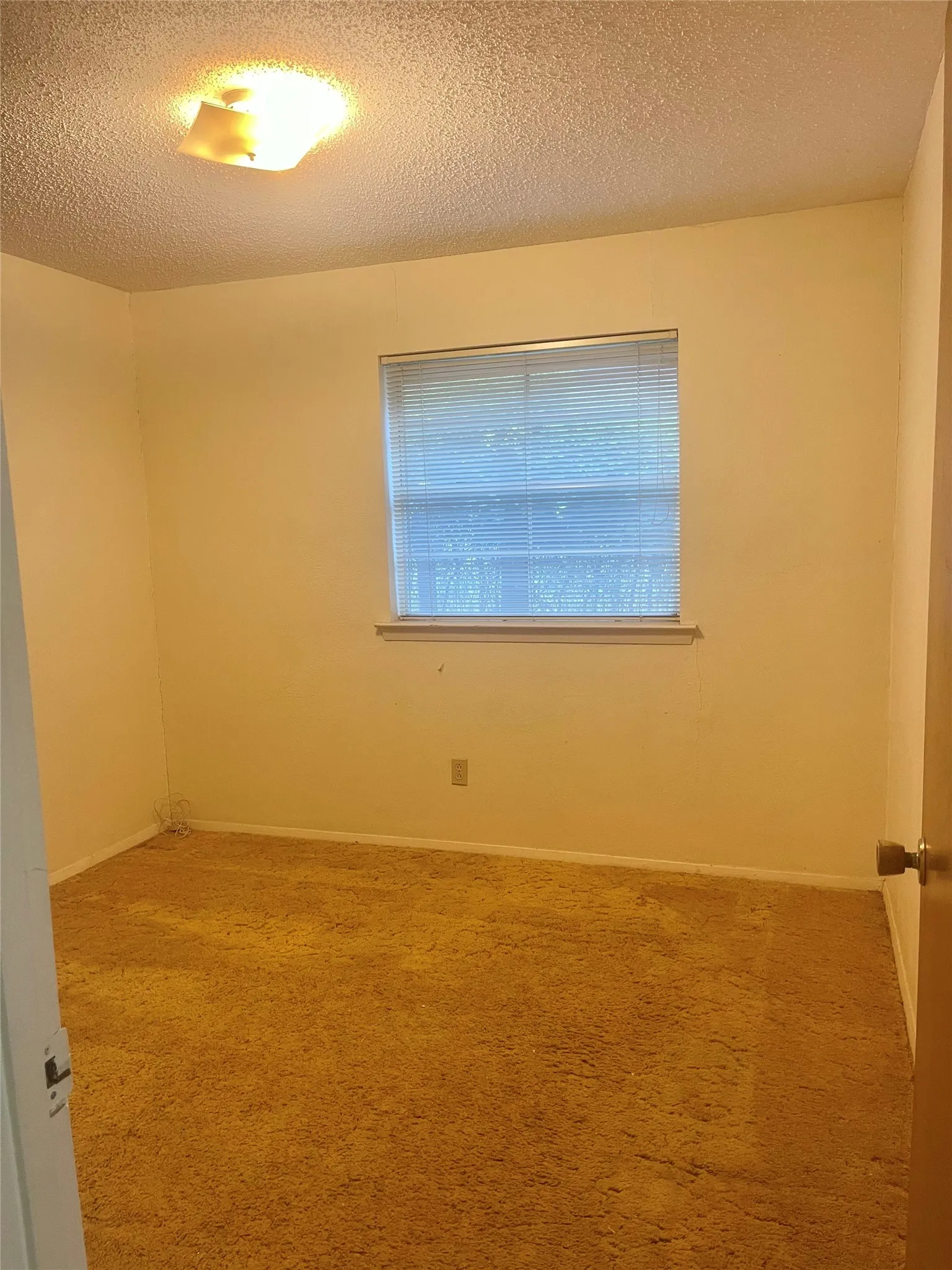 Carpeted room featuring a window with horizontal blinds, light-colored walls, white baseboards, and a ceiling-mounted light fixture