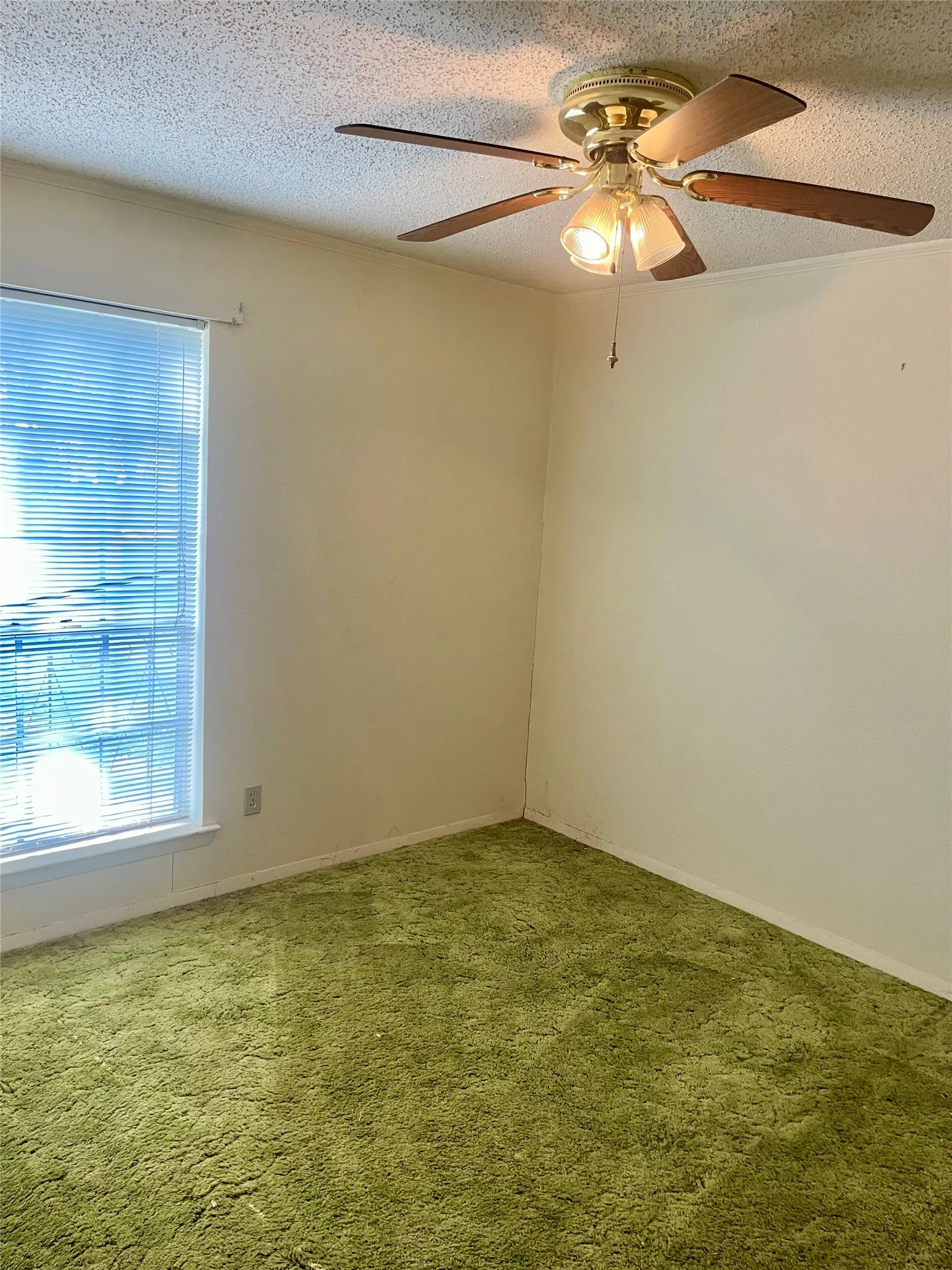 Bright bedroom featuring carpeted flooring in sage green, a ceiling fan with integrated lighting fixture, and natural light from a large window with blinds