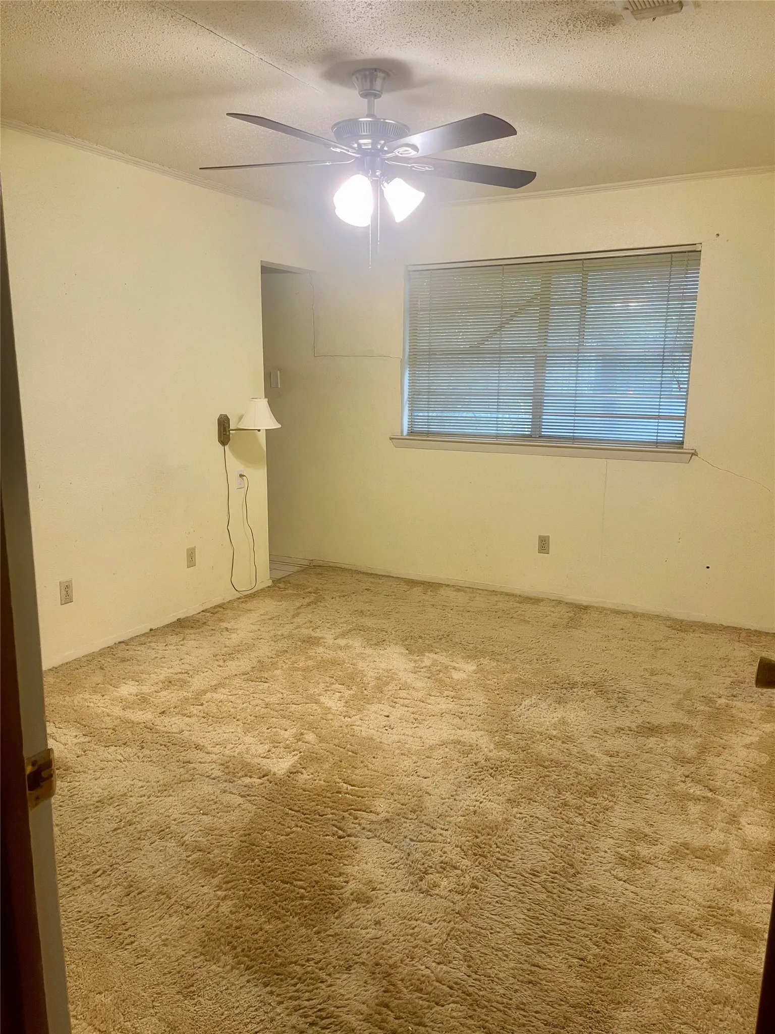 Spacious bedroom featuring neutral wall finishes, carpet flooring, a ceiling fan with integrated lighting, and large window with horizontal blinds providing natural light and privacy