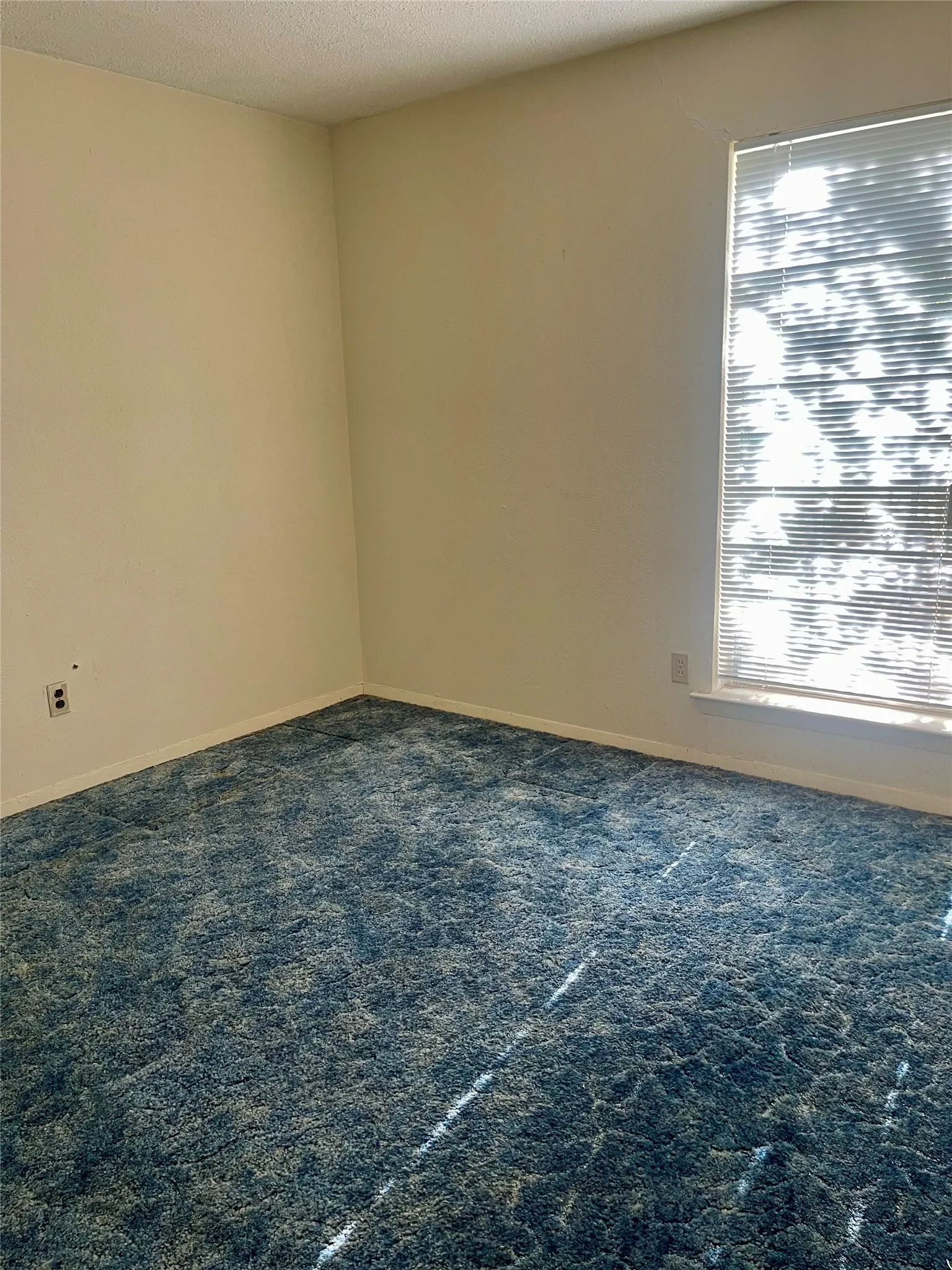 Room featuring plush blue carpeting, neutral wall finishes, and a large window with horizontal blinds