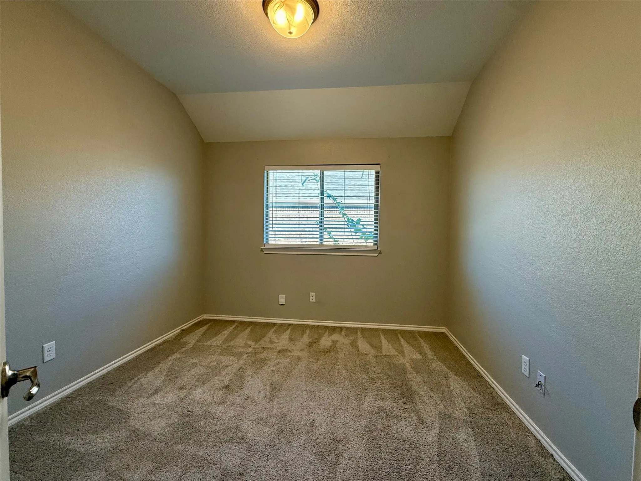 Neutral-toned walls and plush carpet flooring complement a single window with horizontal blinds
