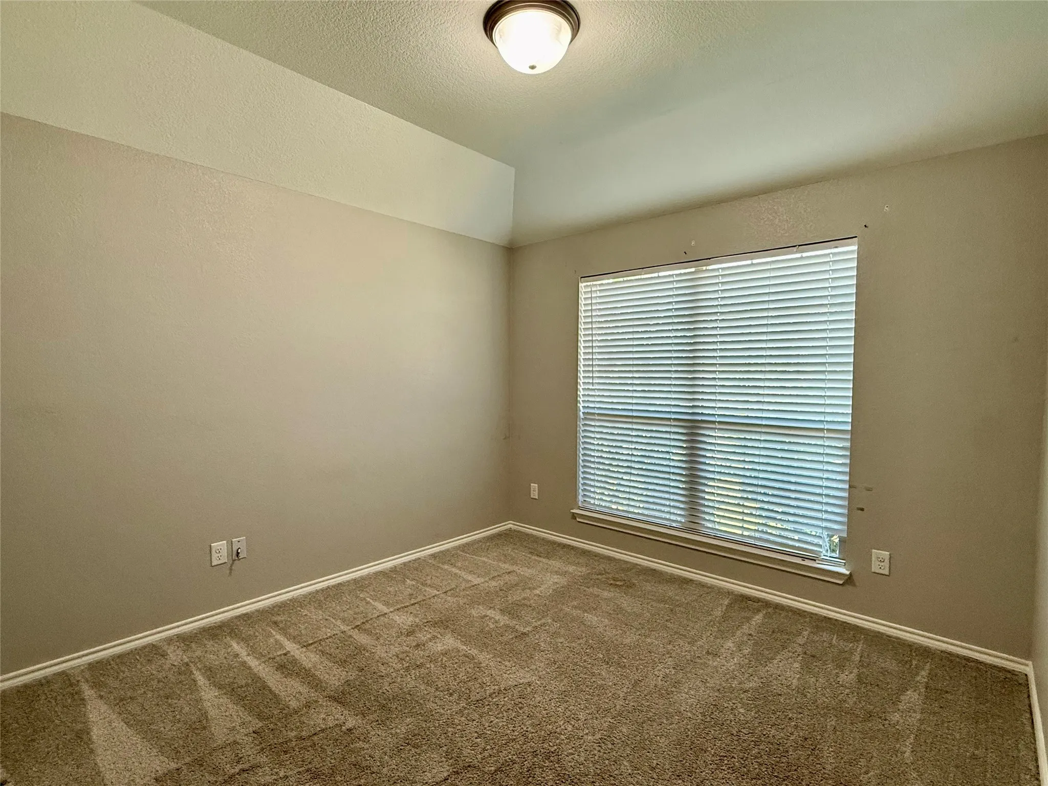 Spacious bedroom with neutral wall finishes, plush carpeting, and abundant natural light from a large sliding glass door with horizontal blinds