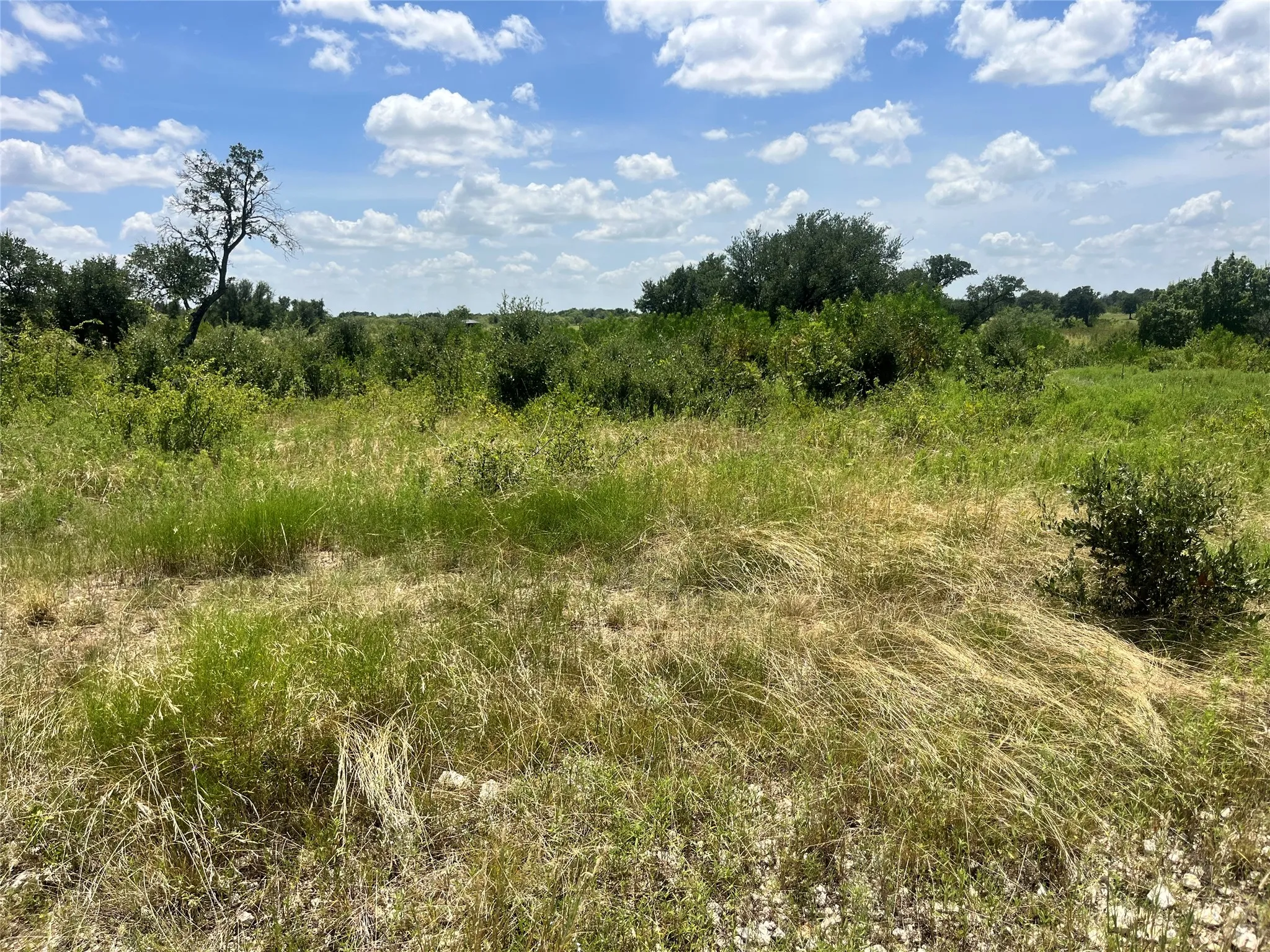 Improved Land For Sale in Comanche County , 539 Pecan Valley Drive, Energy, Texas 76452, 0, 0, Garage spaces, 0 Sqft, built in 0, Price $129,999, mls#21349635, Real Estate Agent in Energy, Homes For Sale in Comanche county, Homes For Sale in Energy, Realtor in Energy Texas, Real Estate Brokerage Independent Realty Texas, Luminita Cordes Realtor