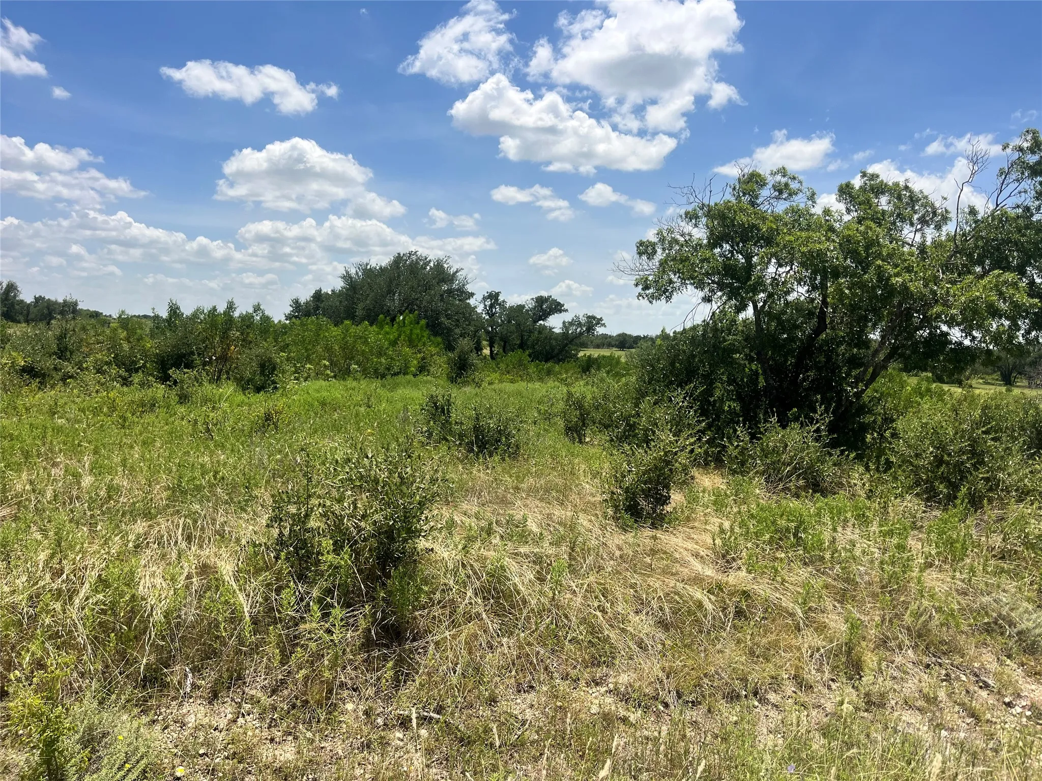 Improved Land For Sale in Comanche County , 539 Pecan Valley Drive, Energy, Texas 76452, 0, 0, Garage spaces, 0 Sqft, built in 0, Price $129,999, mls#21349635, Real Estate Agent in Energy, Homes For Sale in Comanche county, Homes For Sale in Energy, Realtor in Energy Texas, Real Estate Brokerage Independent Realty Texas, Luminita Cordes Realtor