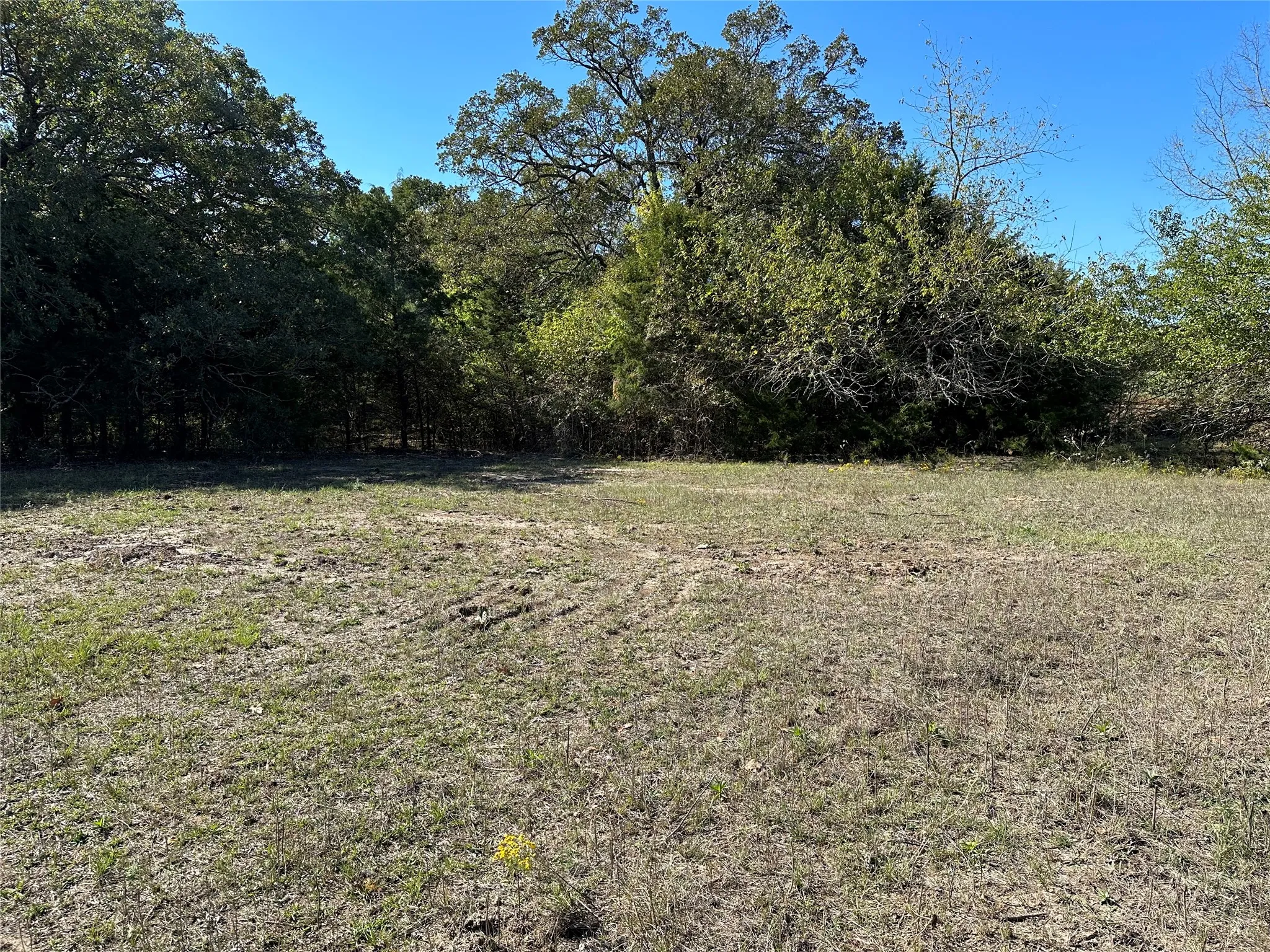 Unimproved Land For Sale in Hunt County , Tract 5 Co Rd 3103, Greenville, Texas 75402, 0, 0, Garage spaces, 0 Sqft, built in 0, mls#21350305, Real Estate Agent in Greenville, Homes For Sale in Hunt county, Homes For Sale in Greenville, Realtor in Greenville Texas, Real Estate Brokerage Independent Realty Texas, Luminita Cordes Realtor