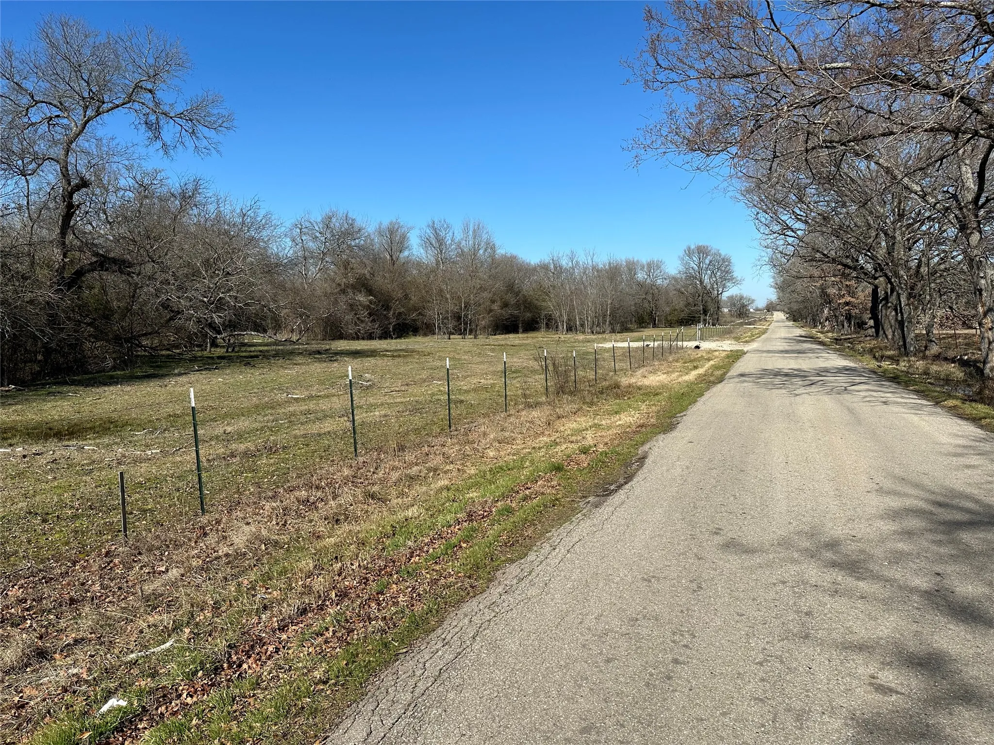 Scenic rural property featuring a long, tree-lined driveway with mature hardwoods flanking both sides