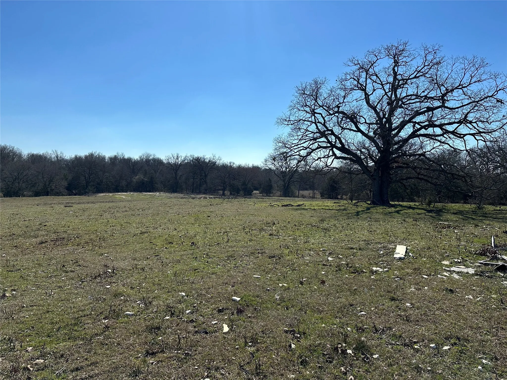 Unimproved Land For Sale in Hunt County , Tract 5 Co Rd 3103, Greenville, Texas 75402, 0, 0, Garage spaces, 0 Sqft, built in 0, mls#21350305, Real Estate Agent in Greenville, Homes For Sale in Hunt county, Homes For Sale in Greenville, Realtor in Greenville Texas, Real Estate Brokerage Independent Realty Texas, Luminita Cordes Realtor