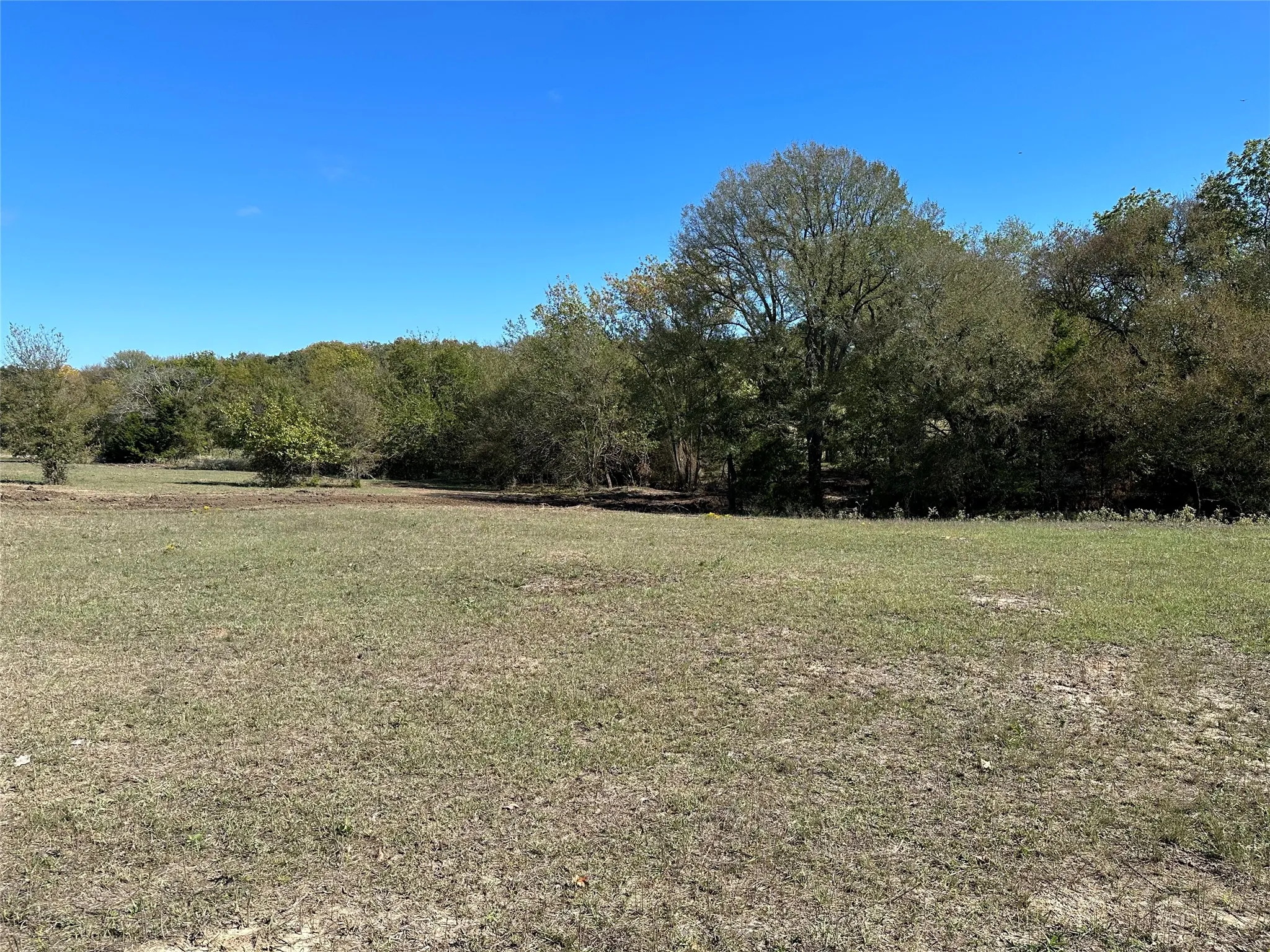 Unimproved Land For Sale in Hunt County , Tract 5 Co Rd 3103, Greenville, Texas 75402, 0, 0, Garage spaces, 0 Sqft, built in 0, mls#21350305, Real Estate Agent in Greenville, Homes For Sale in Hunt county, Homes For Sale in Greenville, Realtor in Greenville Texas, Real Estate Brokerage Independent Realty Texas, Luminita Cordes Realtor