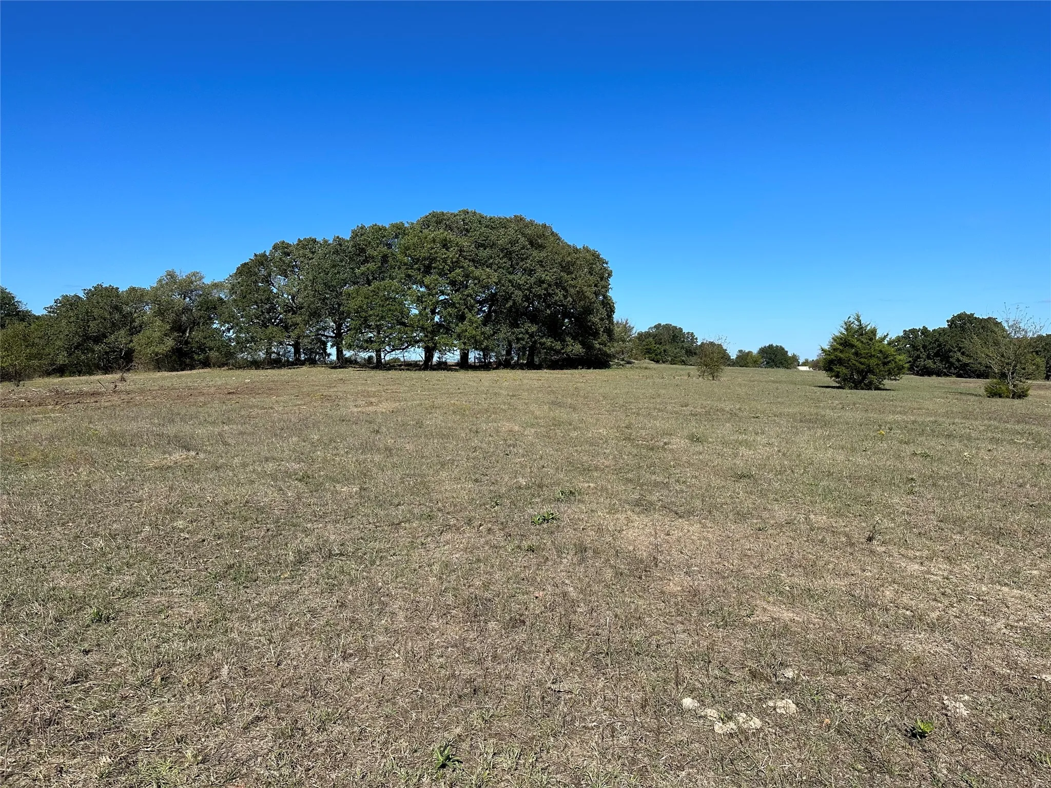 Unimproved Land For Sale in Hunt County , Tract 5 Co Rd 3103, Greenville, Texas 75402, 0, 0, Garage spaces, 0 Sqft, built in 0, mls#21350305, Real Estate Agent in Greenville, Homes For Sale in Hunt county, Homes For Sale in Greenville, Realtor in Greenville Texas, Real Estate Brokerage Independent Realty Texas, Luminita Cordes Realtor