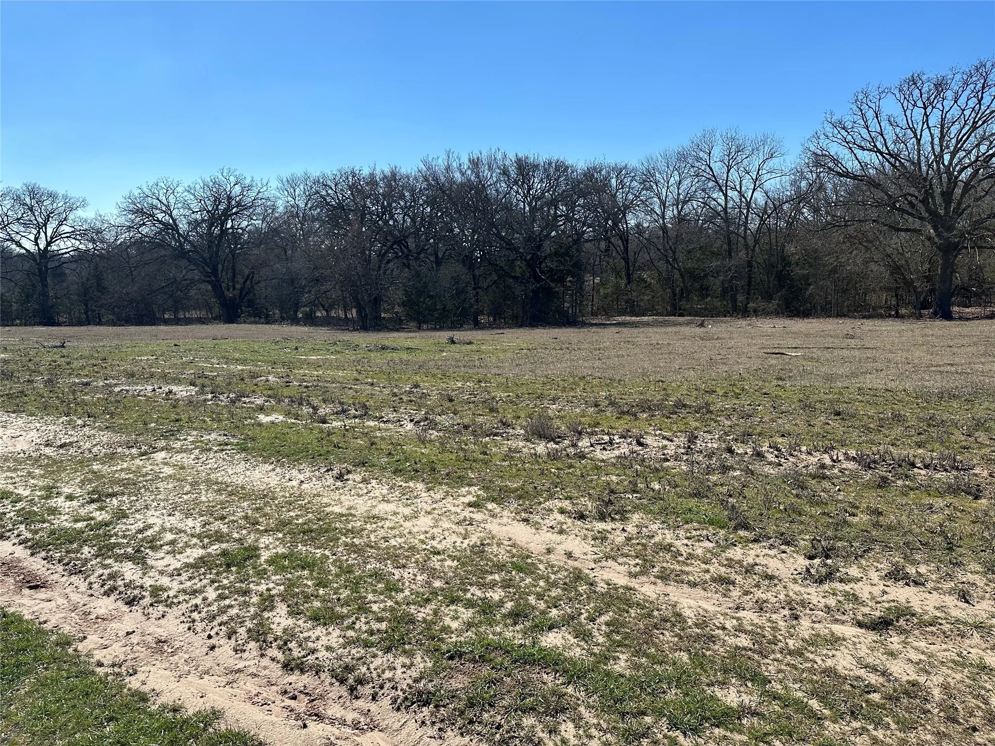 Unimproved Land For Sale in Hunt County , Tract 5 Co Rd 3103, Greenville, Texas 75402, 0, 0, Garage spaces, 0 Sqft, built in 0, mls#21350305, Real Estate Agent in Greenville, Homes For Sale in Hunt county, Homes For Sale in Greenville, Realtor in Greenville Texas, Real Estate Brokerage Independent Realty Texas, Luminita Cordes Realtor
