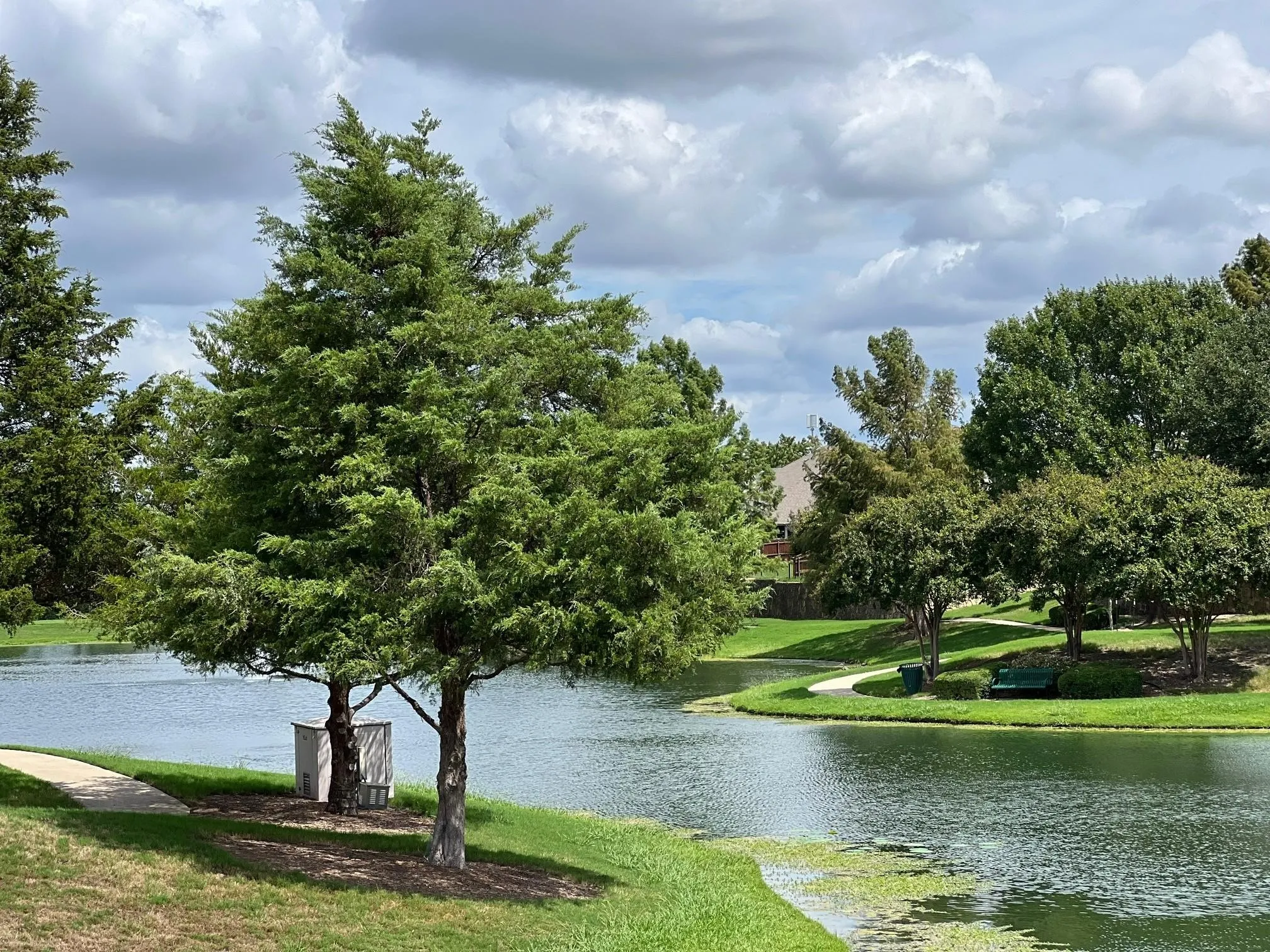 Water view