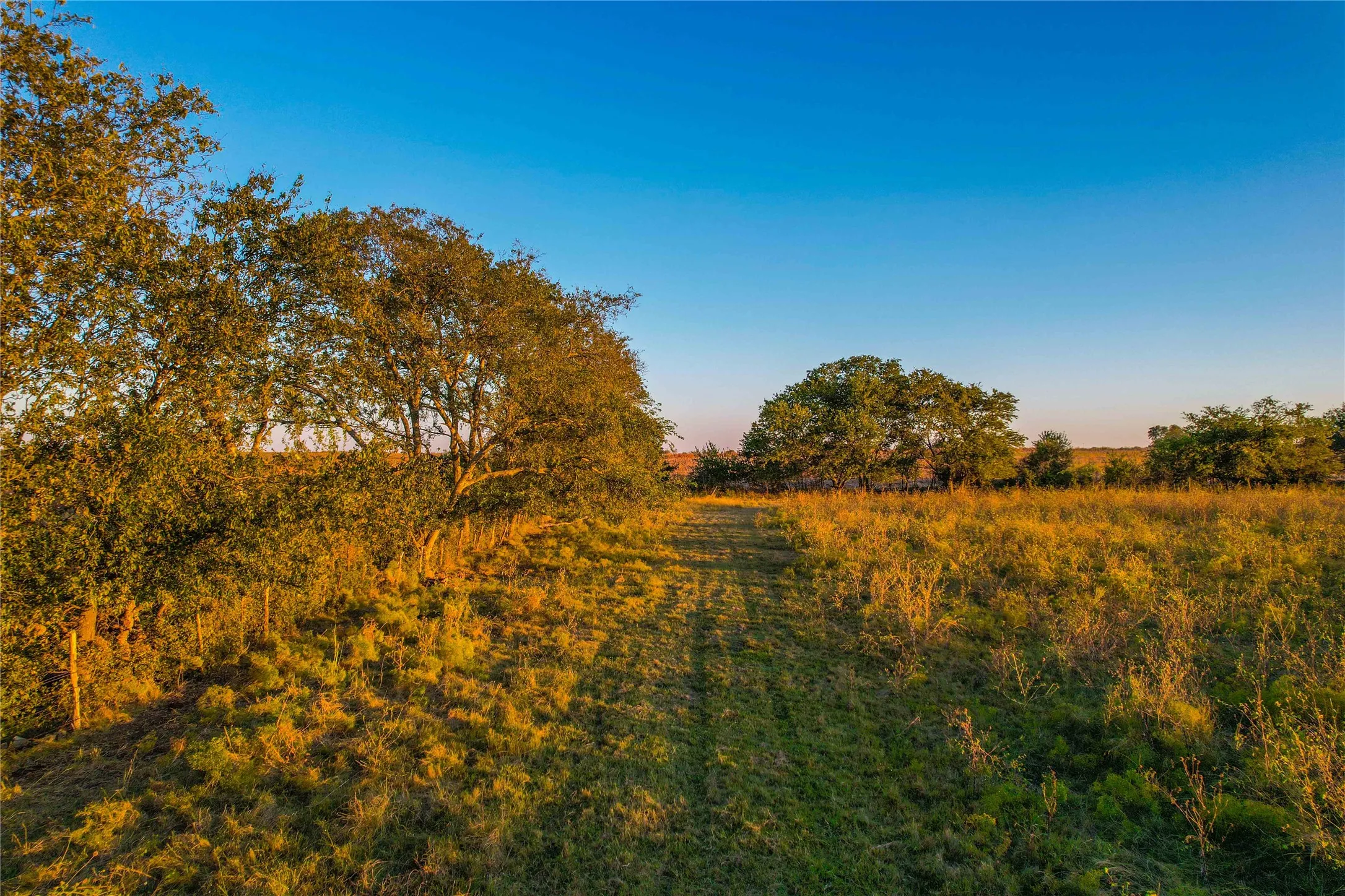 Unimproved Land For Sale in Coryell County , UNK County Road 262, Gatesville, Texas 76528, 0, 0, Garage spaces, 0 Sqft, built in 1975, mls#21350325, Real Estate Agent in Gatesville, Homes For Sale in Coryell county, Homes For Sale in Gatesville, Realtor in Gatesville Texas, Real Estate Brokerage Independent Realty Texas, Luminita Cordes Realtor