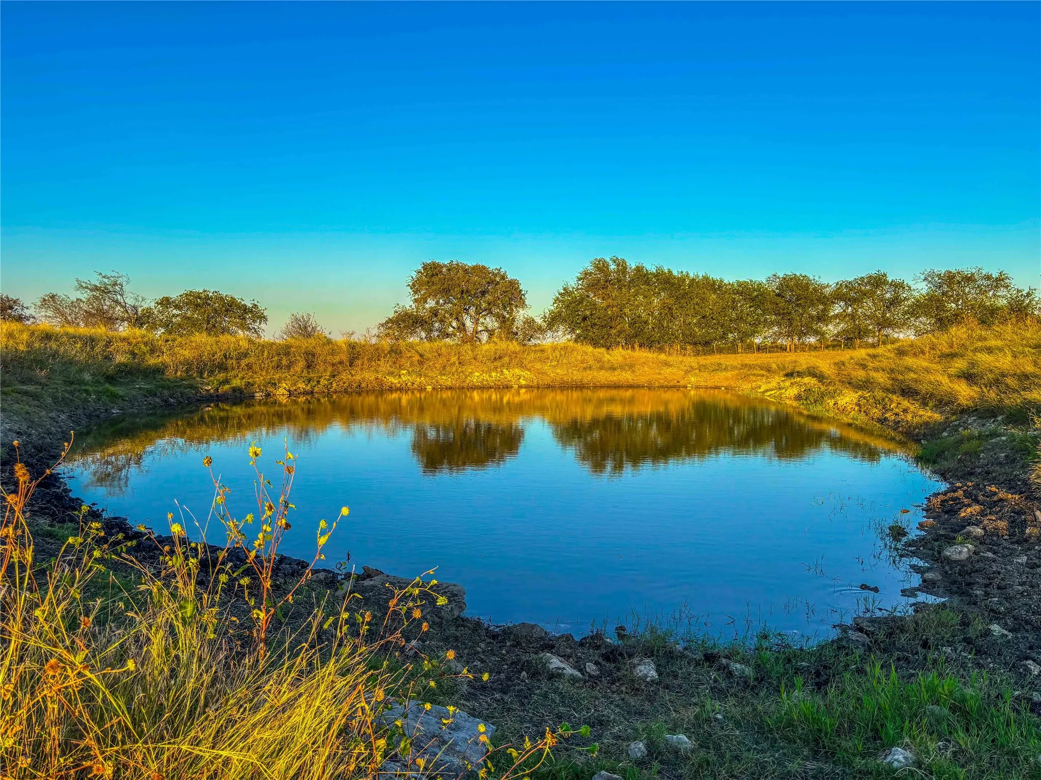 Unimproved Land For Sale in Coryell County , UNK County Road 262, Gatesville, Texas 76528, 0, 0, Garage spaces, 0 Sqft, built in 1975, mls#21350325, Real Estate Agent in Gatesville, Homes For Sale in Coryell county, Homes For Sale in Gatesville, Realtor in Gatesville Texas, Real Estate Brokerage Independent Realty Texas, Luminita Cordes Realtor