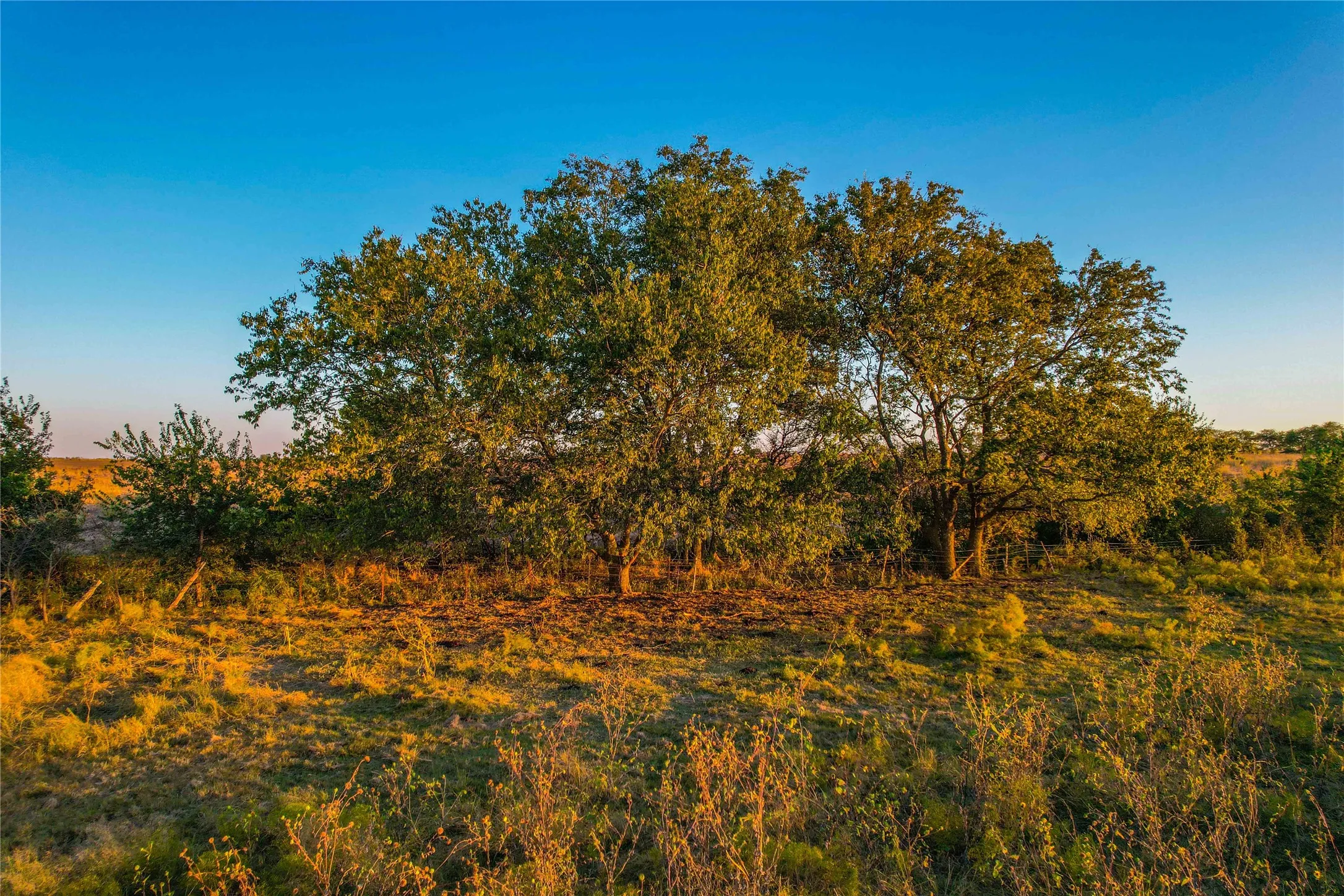 Unimproved Land For Sale in Coryell County , UNK County Road 262, Gatesville, Texas 76528, 0, 0, Garage spaces, 0 Sqft, built in 1975, mls#21350325, Real Estate Agent in Gatesville, Homes For Sale in Coryell county, Homes For Sale in Gatesville, Realtor in Gatesville Texas, Real Estate Brokerage Independent Realty Texas, Luminita Cordes Realtor