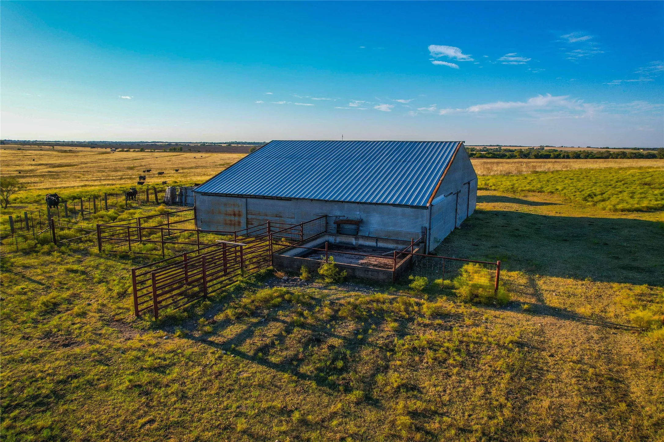 Unimproved Land For Sale in Coryell County , UNK County Road 262, Gatesville, Texas 76528, 0, 0, Garage spaces, 0 Sqft, built in 1975, mls#21350325, Real Estate Agent in Gatesville, Homes For Sale in Coryell county, Homes For Sale in Gatesville, Realtor in Gatesville Texas, Real Estate Brokerage Independent Realty Texas, Luminita Cordes Realtor