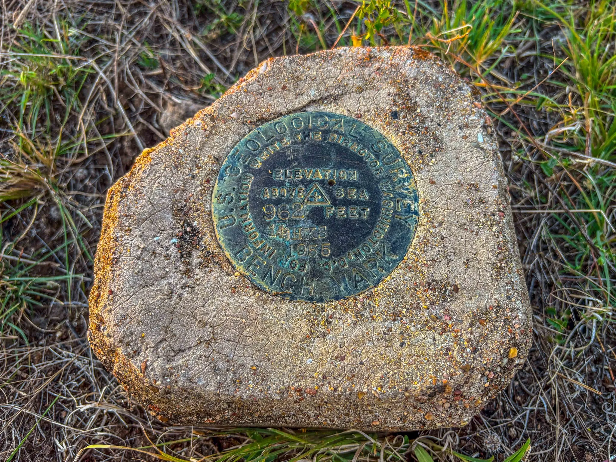 Unimproved Land For Sale in Coryell County , UNK County Road 262, Gatesville, Texas 76528, 0, 0, Garage spaces, 0 Sqft, built in 1975, mls#21350325, Real Estate Agent in Gatesville, Homes For Sale in Coryell county, Homes For Sale in Gatesville, Realtor in Gatesville Texas, Real Estate Brokerage Independent Realty Texas, Luminita Cordes Realtor