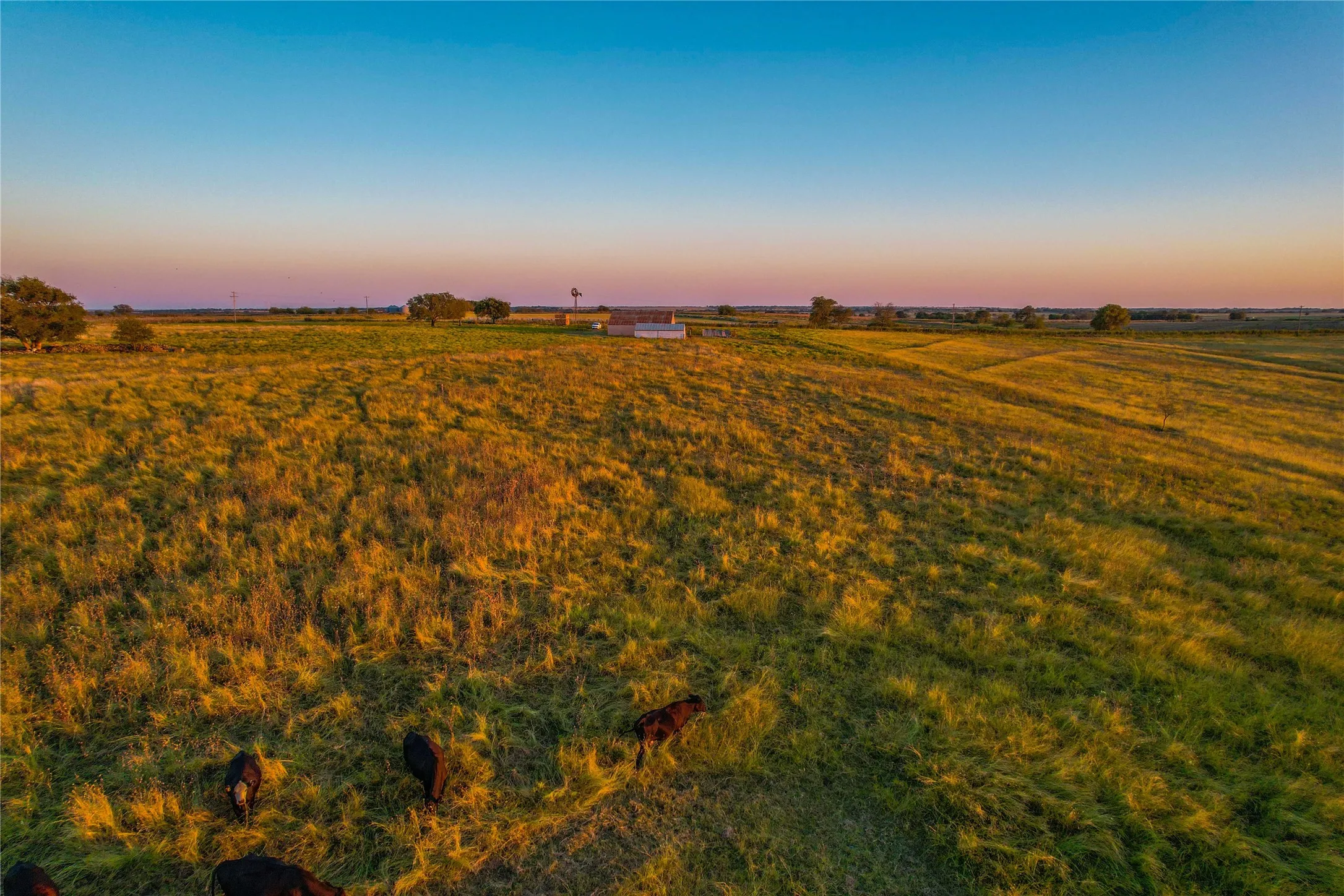 Unimproved Land For Sale in Coryell County , UNK County Road 262, Gatesville, Texas 76528, 0, 0, Garage spaces, 0 Sqft, built in 1975, mls#21350325, Real Estate Agent in Gatesville, Homes For Sale in Coryell county, Homes For Sale in Gatesville, Realtor in Gatesville Texas, Real Estate Brokerage Independent Realty Texas, Luminita Cordes Realtor