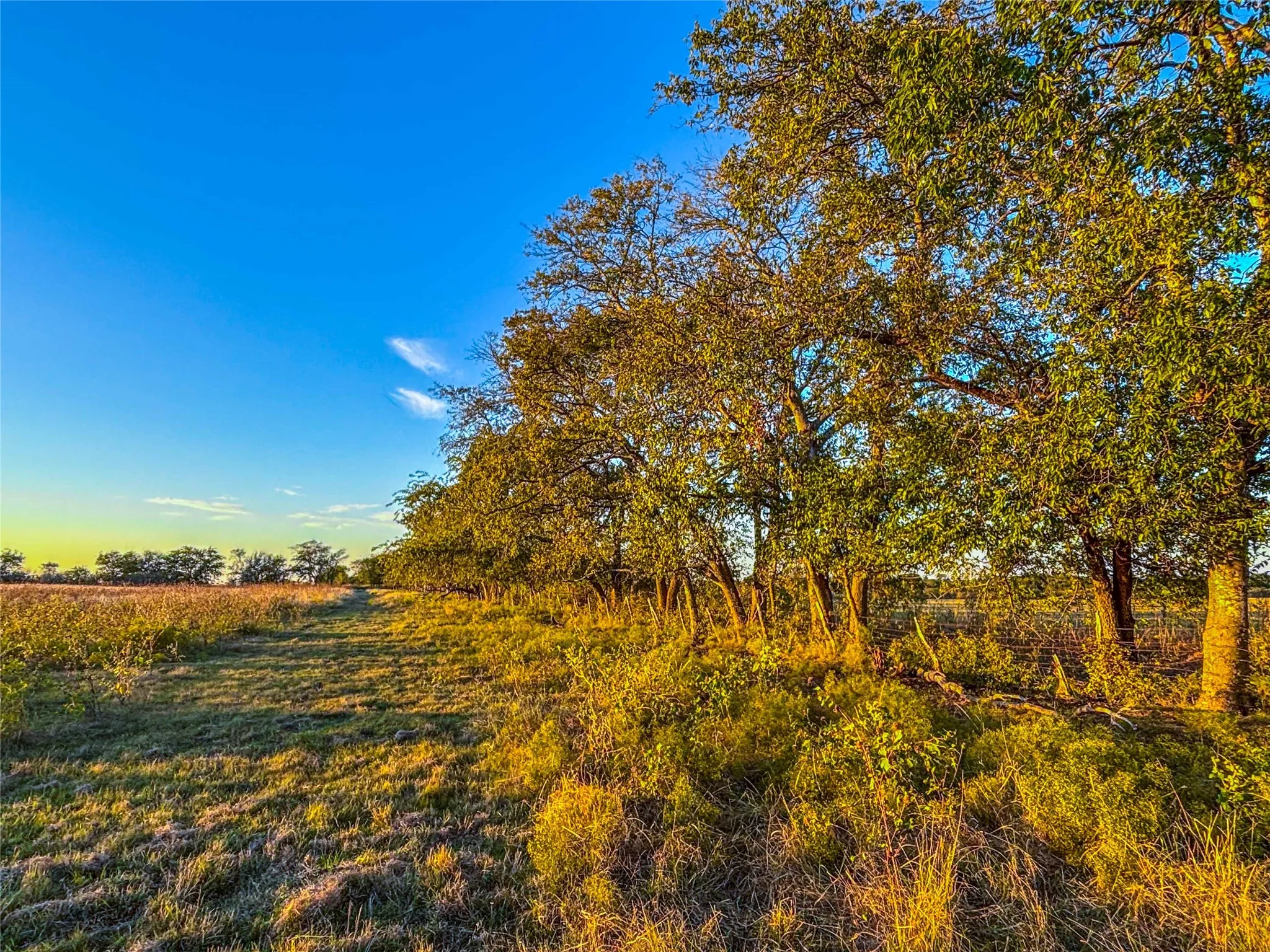 Unimproved Land For Sale in Coryell County , UNK County Road 262, Gatesville, Texas 76528, 0, 0, Garage spaces, 0 Sqft, built in 1975, mls#21350325, Real Estate Agent in Gatesville, Homes For Sale in Coryell county, Homes For Sale in Gatesville, Realtor in Gatesville Texas, Real Estate Brokerage Independent Realty Texas, Luminita Cordes Realtor