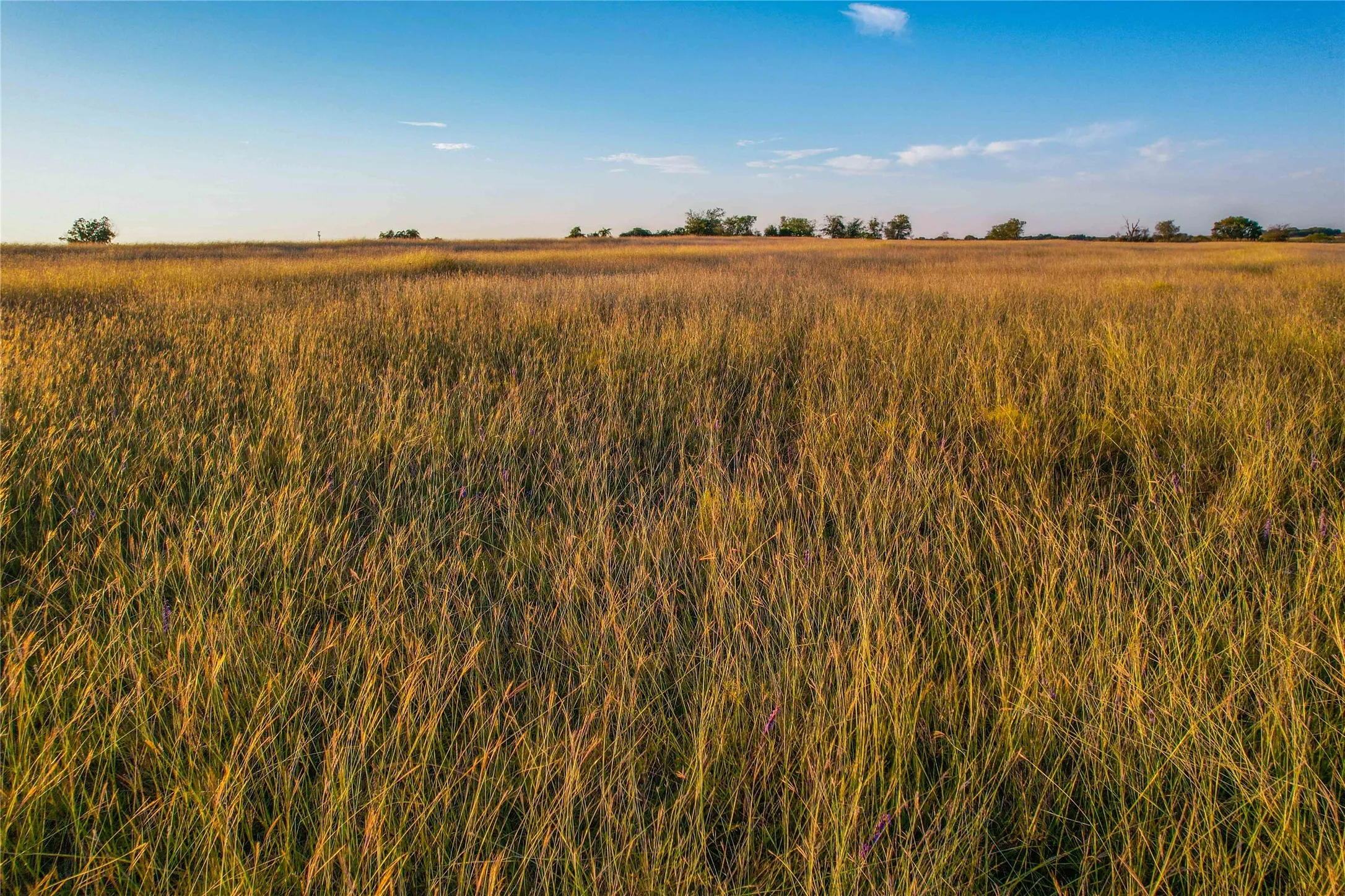 Unimproved Land For Sale in Coryell County , UNK County Road 262, Gatesville, Texas 76528, 0, 0, Garage spaces, 0 Sqft, built in 1975, mls#21350325, Real Estate Agent in Gatesville, Homes For Sale in Coryell county, Homes For Sale in Gatesville, Realtor in Gatesville Texas, Real Estate Brokerage Independent Realty Texas, Luminita Cordes Realtor