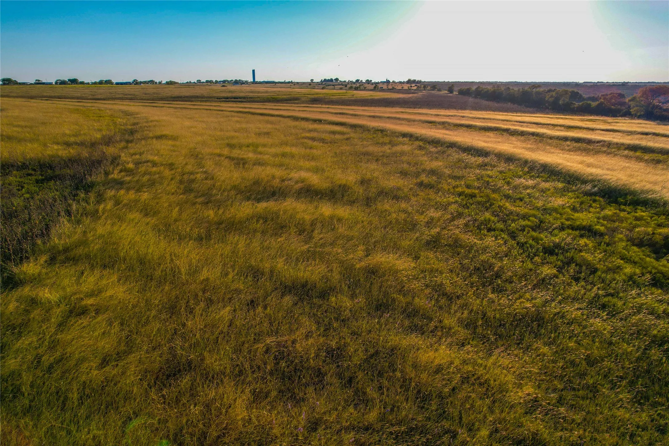 Unimproved Land For Sale in Coryell County , UNK County Road 262, Gatesville, Texas 76528, 0, 0, Garage spaces, 0 Sqft, built in 1975, mls#21350325, Real Estate Agent in Gatesville, Homes For Sale in Coryell county, Homes For Sale in Gatesville, Realtor in Gatesville Texas, Real Estate Brokerage Independent Realty Texas, Luminita Cordes Realtor