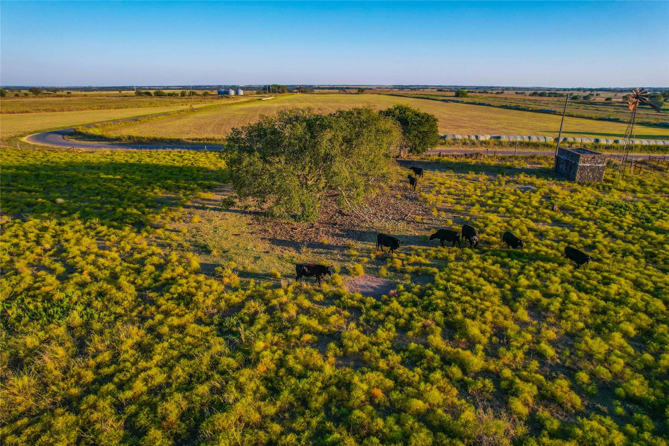 Unimproved Land For Sale in Coryell County , UNK County Road 262, Gatesville, Texas 76528, 0, 0, Garage spaces, 0 Sqft, built in 1975, mls#21350325, Real Estate Agent in Gatesville, Homes For Sale in Coryell county, Homes For Sale in Gatesville, Realtor in Gatesville Texas, Real Estate Brokerage Independent Realty Texas, Luminita Cordes Realtor