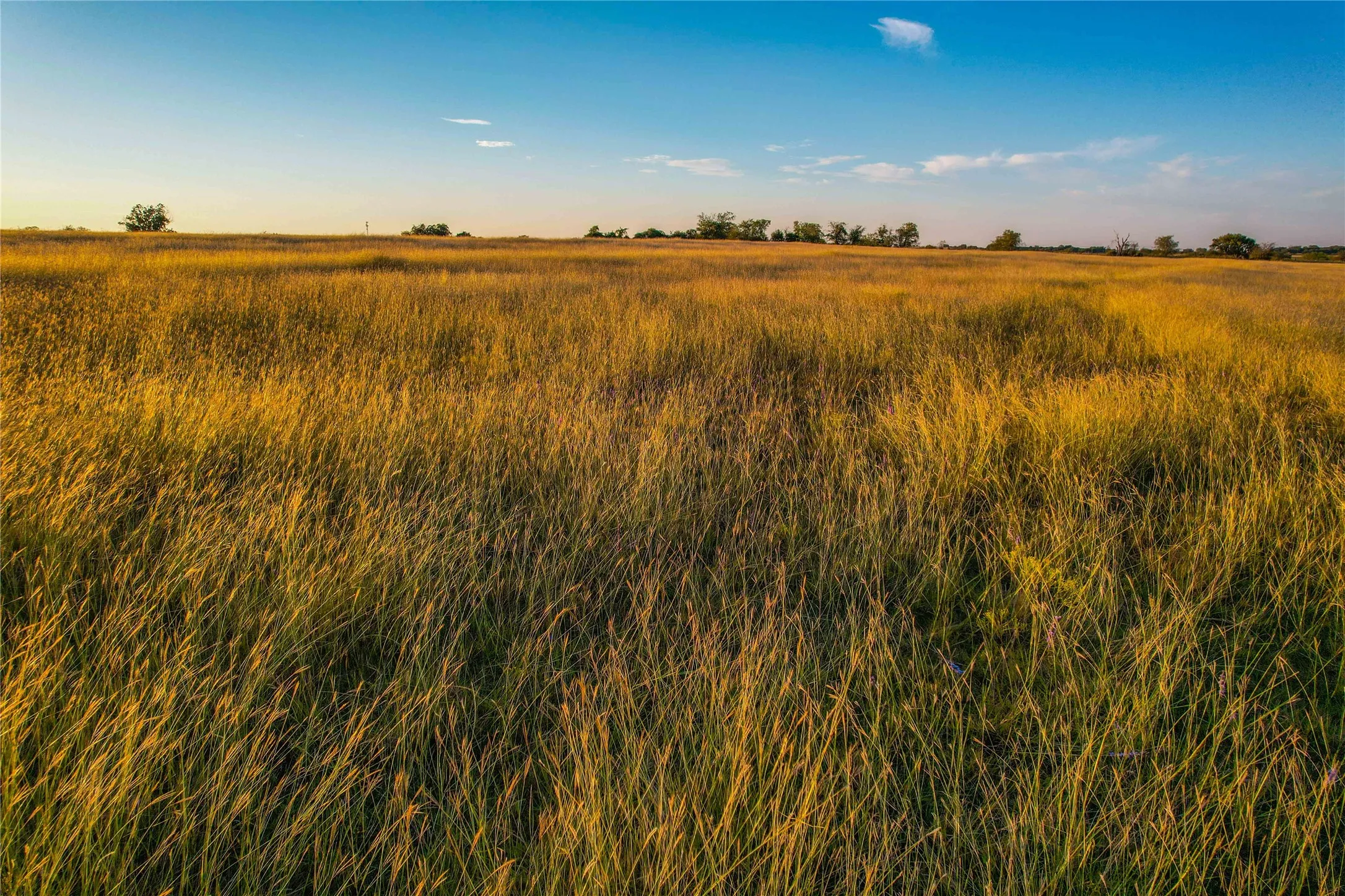 Unimproved Land For Sale in Coryell County , UNK CR 262, Gatesville, Texas 76528, 0, 0, Garage spaces, 0 Sqft, built in 1975, mls#21350263, Real Estate Agent in Gatesville, Homes For Sale in Coryell county, Homes For Sale in Gatesville, Realtor in Gatesville Texas, Real Estate Brokerage Independent Realty Texas, Luminita Cordes Realtor