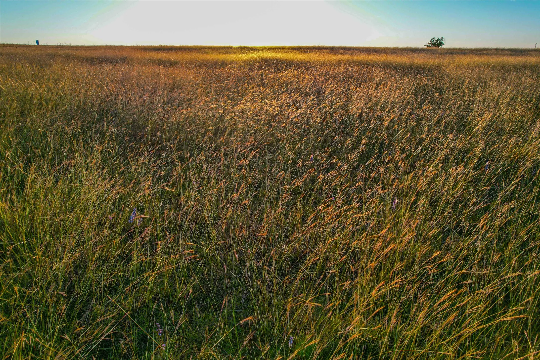 Unimproved Land For Sale in Coryell County , UNK CR 262, Gatesville, Texas 76528, 0, 0, Garage spaces, 0 Sqft, built in 1975, mls#21350263, Real Estate Agent in Gatesville, Homes For Sale in Coryell county, Homes For Sale in Gatesville, Realtor in Gatesville Texas, Real Estate Brokerage Independent Realty Texas, Luminita Cordes Realtor