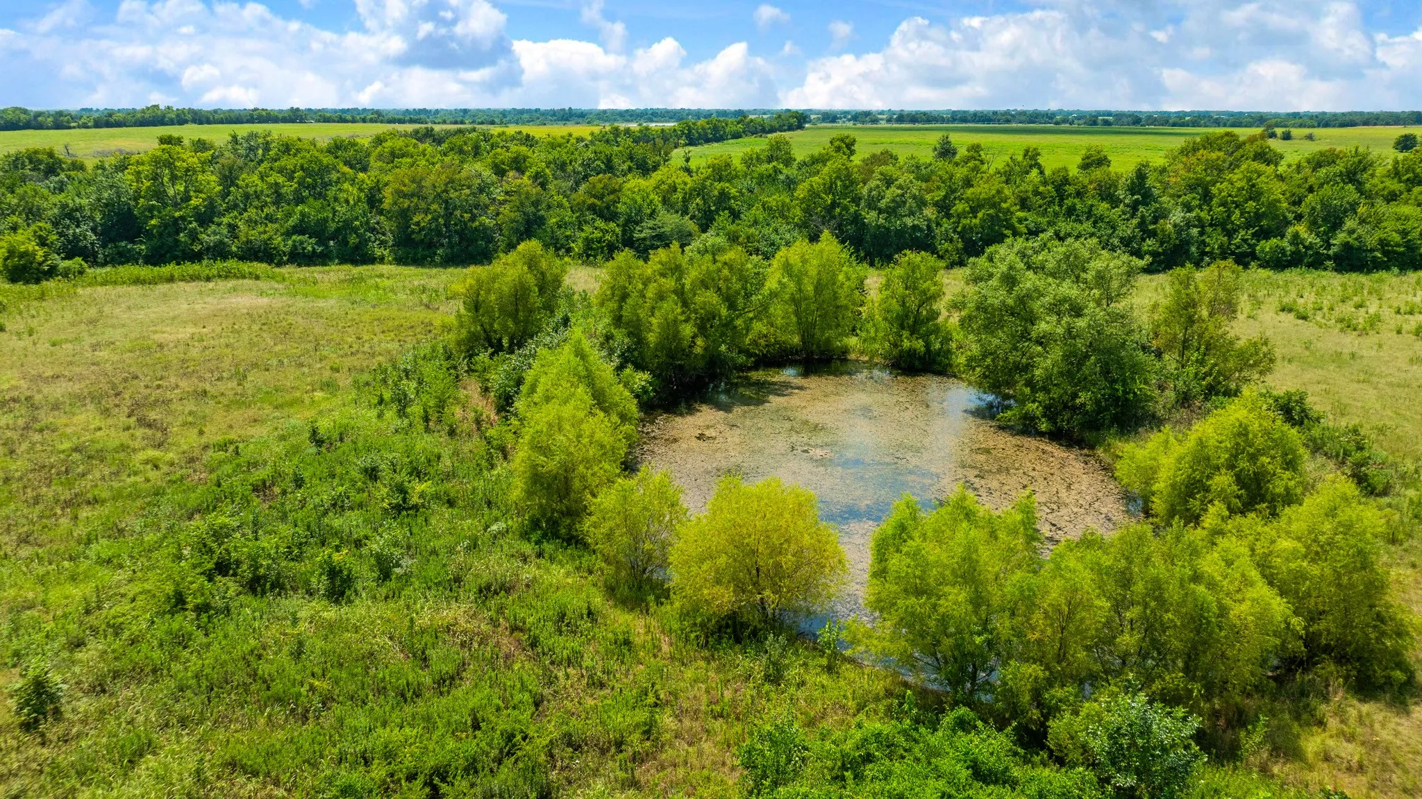 Unimproved Land For Sale in Lamar County , 000 Hwy 24, Paris, Texas 75460, 0, 0, Garage spaces, 0 Sqft, built in 0, mls#21347210, Real Estate Agent in Paris, Homes For Sale in Lamar county, Homes For Sale in Paris, Realtor in Paris Texas, Real Estate Brokerage Independent Realty Texas, Luminita Cordes Realtor