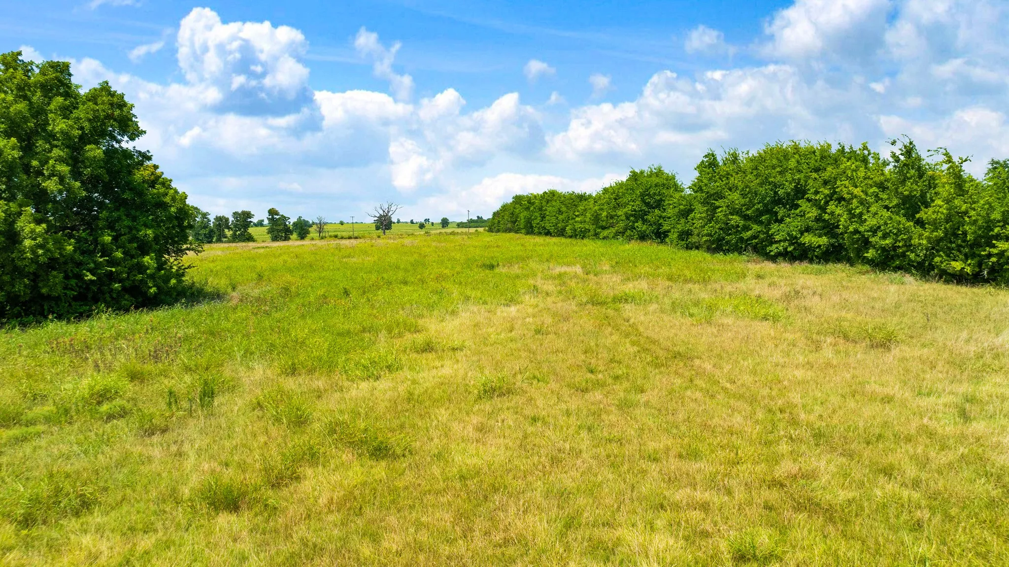 Unimproved Land For Sale in Lamar County , 000 Hwy 24, Paris, Texas 75460, 0, 0, Garage spaces, 0 Sqft, built in 0, mls#21347210, Real Estate Agent in Paris, Homes For Sale in Lamar county, Homes For Sale in Paris, Realtor in Paris Texas, Real Estate Brokerage Independent Realty Texas, Luminita Cordes Realtor
