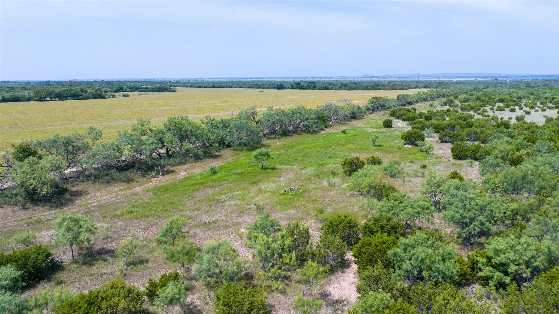 Ranch For Sale in Taylor County , 4801 Fm 1086, Wingate, Texas 79566, 0, 0, Garage spaces, 0 Sqft, built in 0, mls#21350464, Real Estate Agent in Wingate, Homes For Sale in Taylor county, Homes For Sale in Wingate, Realtor in Wingate Texas, Real Estate Brokerage Independent Realty Texas, Luminita Cordes Realtor