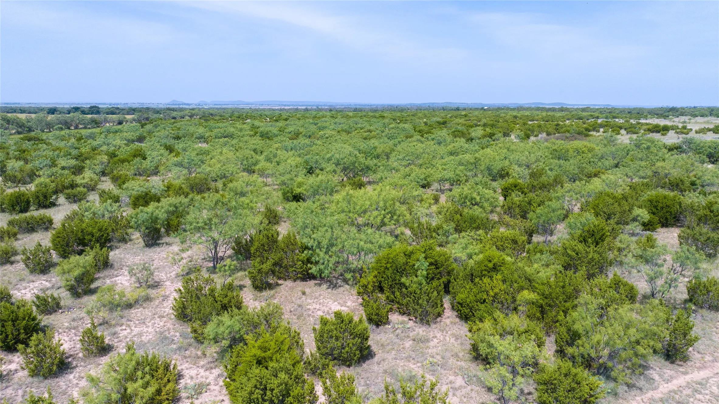 Ranch For Sale in Taylor County , 4801 Fm 1086, Wingate, Texas 79566, 0, 0, Garage spaces, 0 Sqft, built in 0, mls#21350464, Real Estate Agent in Wingate, Homes For Sale in Taylor county, Homes For Sale in Wingate, Realtor in Wingate Texas, Real Estate Brokerage Independent Realty Texas, Luminita Cordes Realtor