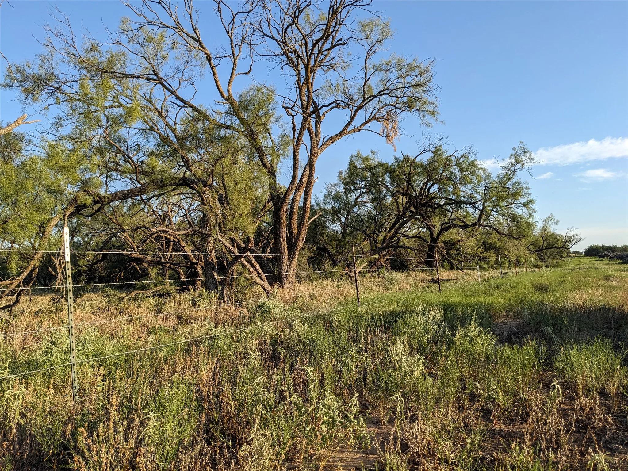 Ranch For Sale in Taylor County , 4801 Fm 1086, Wingate, Texas 79566, 0, 0, Garage spaces, 0 Sqft, built in 0, mls#21350464, Real Estate Agent in Wingate, Homes For Sale in Taylor county, Homes For Sale in Wingate, Realtor in Wingate Texas, Real Estate Brokerage Independent Realty Texas, Luminita Cordes Realtor