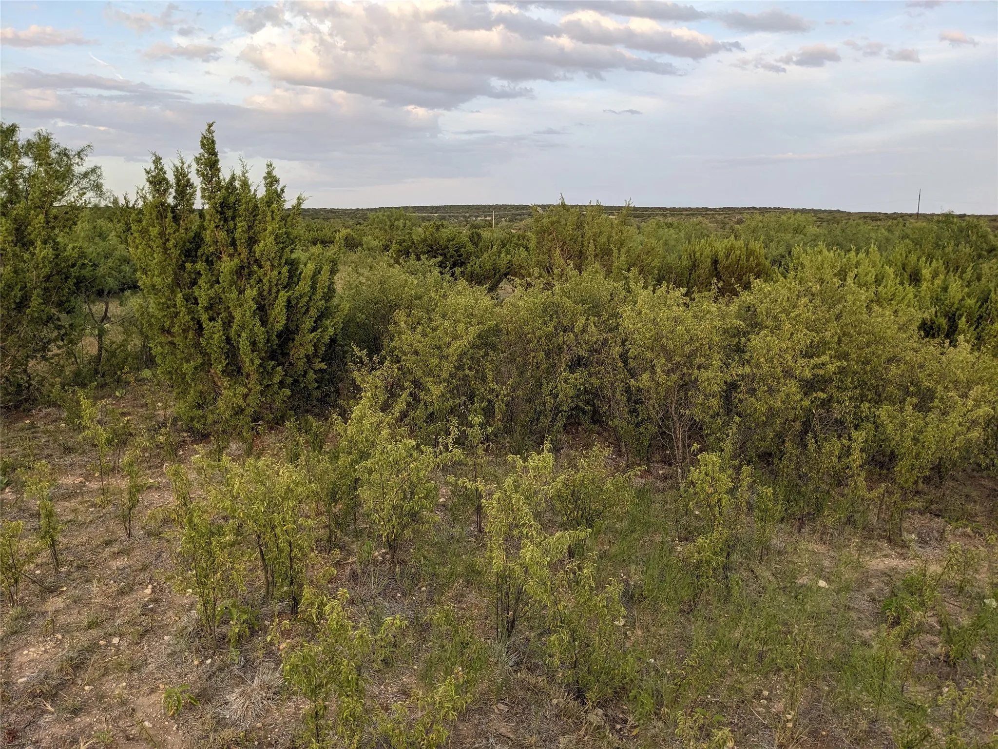 Ranch For Sale in Taylor County , 4801 Fm 1086, Wingate, Texas 79566, 0, 0, Garage spaces, 0 Sqft, built in 0, mls#21350464, Real Estate Agent in Wingate, Homes For Sale in Taylor county, Homes For Sale in Wingate, Realtor in Wingate Texas, Real Estate Brokerage Independent Realty Texas, Luminita Cordes Realtor