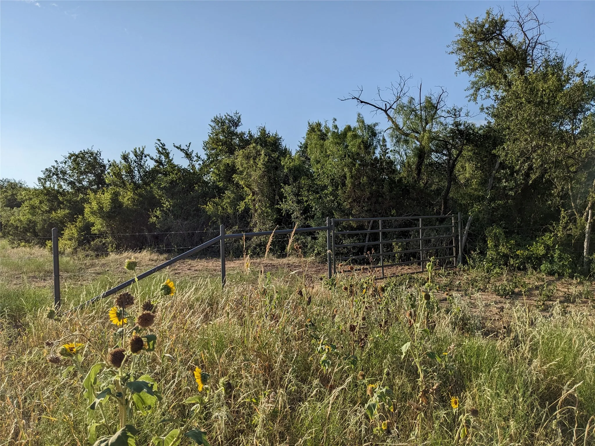 Ranch For Sale in Taylor County , 4801 Fm 1086, Wingate, Texas 79566, 0, 0, Garage spaces, 0 Sqft, built in 0, mls#21350464, Real Estate Agent in Wingate, Homes For Sale in Taylor county, Homes For Sale in Wingate, Realtor in Wingate Texas, Real Estate Brokerage Independent Realty Texas, Luminita Cordes Realtor