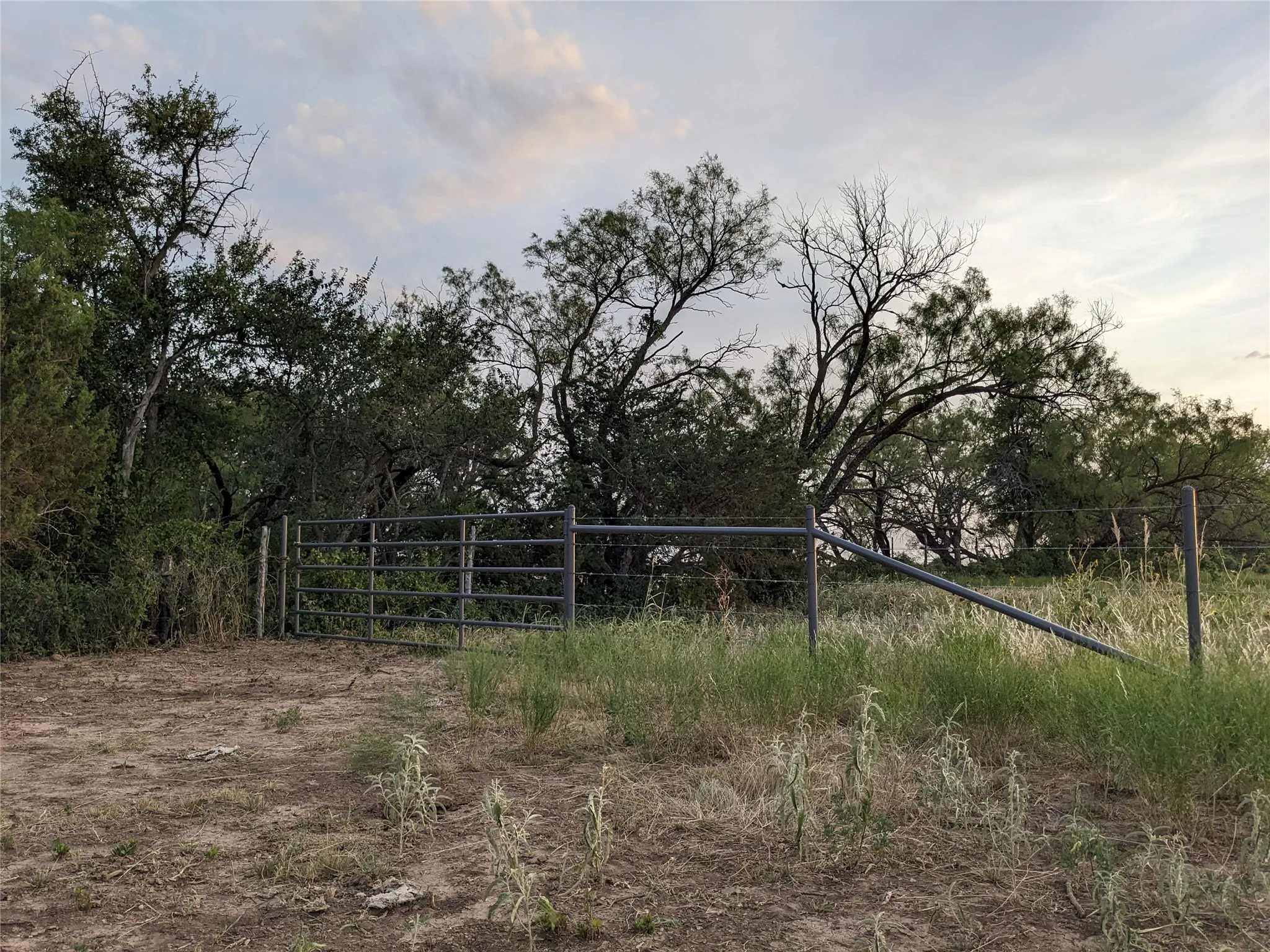 Ranch For Sale in Taylor County , 4801 Fm 1086, Wingate, Texas 79566, 0, 0, Garage spaces, 0 Sqft, built in 0, mls#21350464, Real Estate Agent in Wingate, Homes For Sale in Taylor county, Homes For Sale in Wingate, Realtor in Wingate Texas, Real Estate Brokerage Independent Realty Texas, Luminita Cordes Realtor