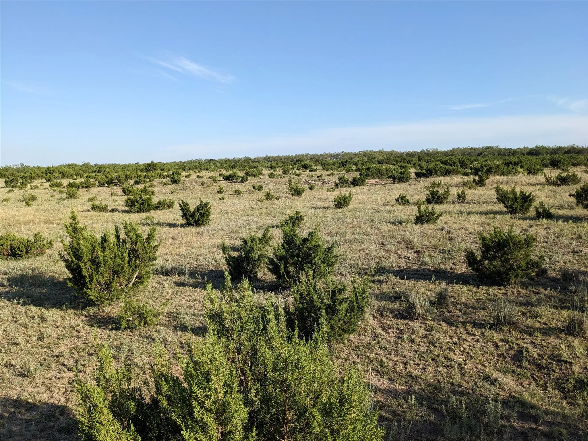 Ranch For Sale in Taylor County , 4801 Fm 1086, Wingate, Texas 79566, 0, 0, Garage spaces, 0 Sqft, built in 0, mls#21350464, Real Estate Agent in Wingate, Homes For Sale in Taylor county, Homes For Sale in Wingate, Realtor in Wingate Texas, Real Estate Brokerage Independent Realty Texas, Luminita Cordes Realtor